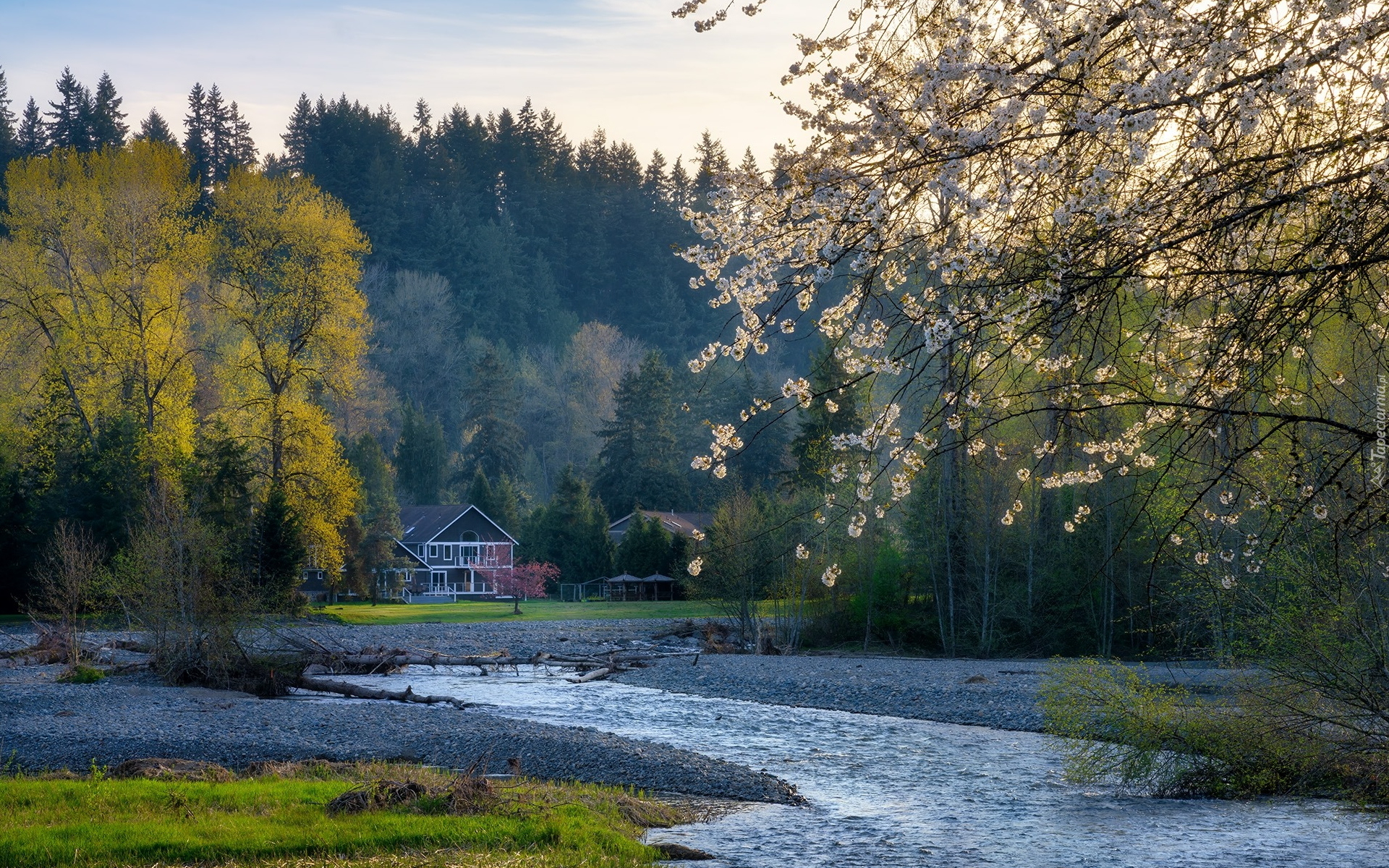 Rzeka Cedar River, Maple Valley, Dolina Krzemowa, Dom, Drzewa, Wiosna, Stan Waszyngton, Stany Zjednoczone