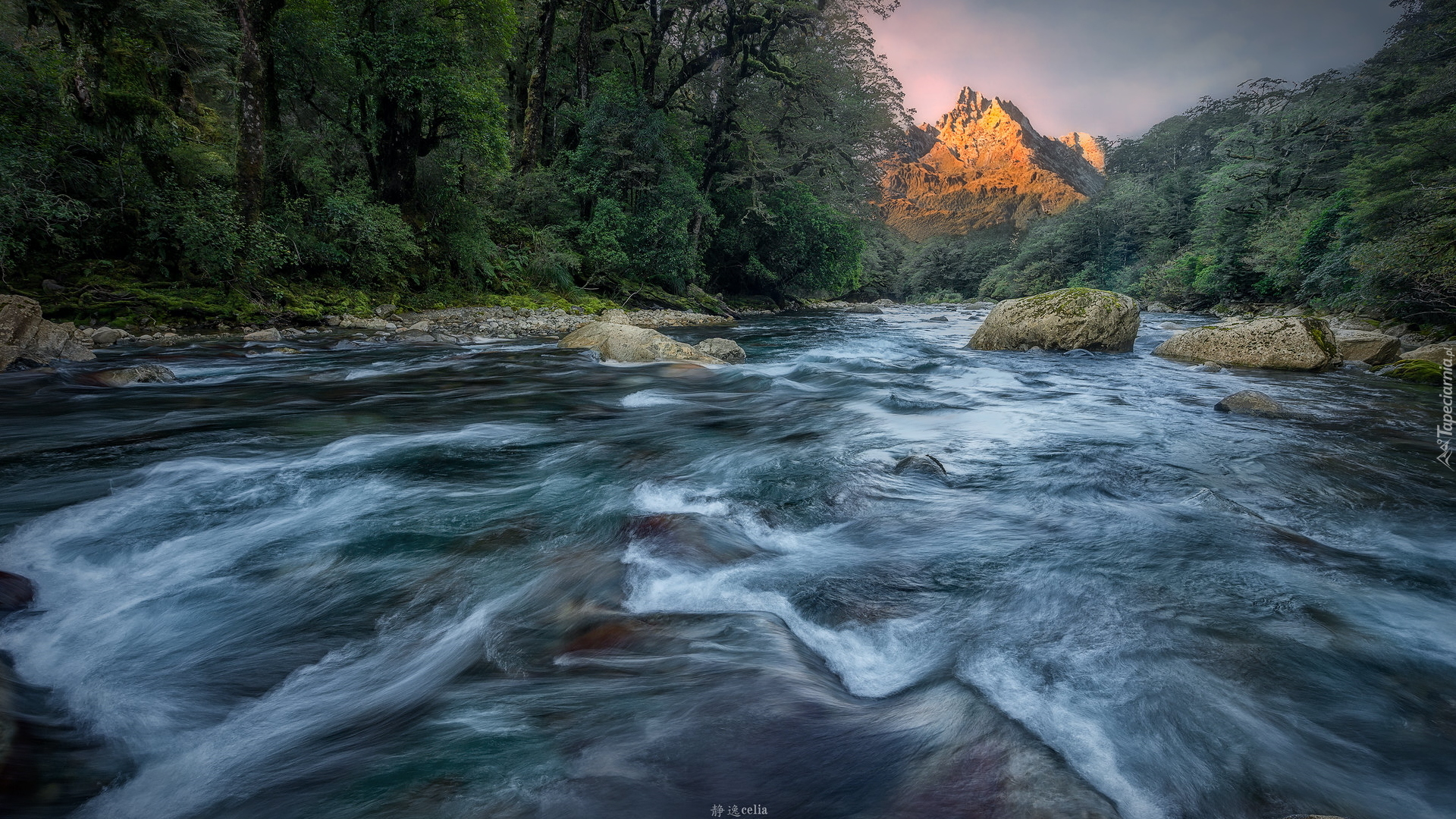 Rzeka, Cleddau River, Kamienie, Las, Drzewa, Góry, Park Narodowy Fiordland, Nowa Zelandia