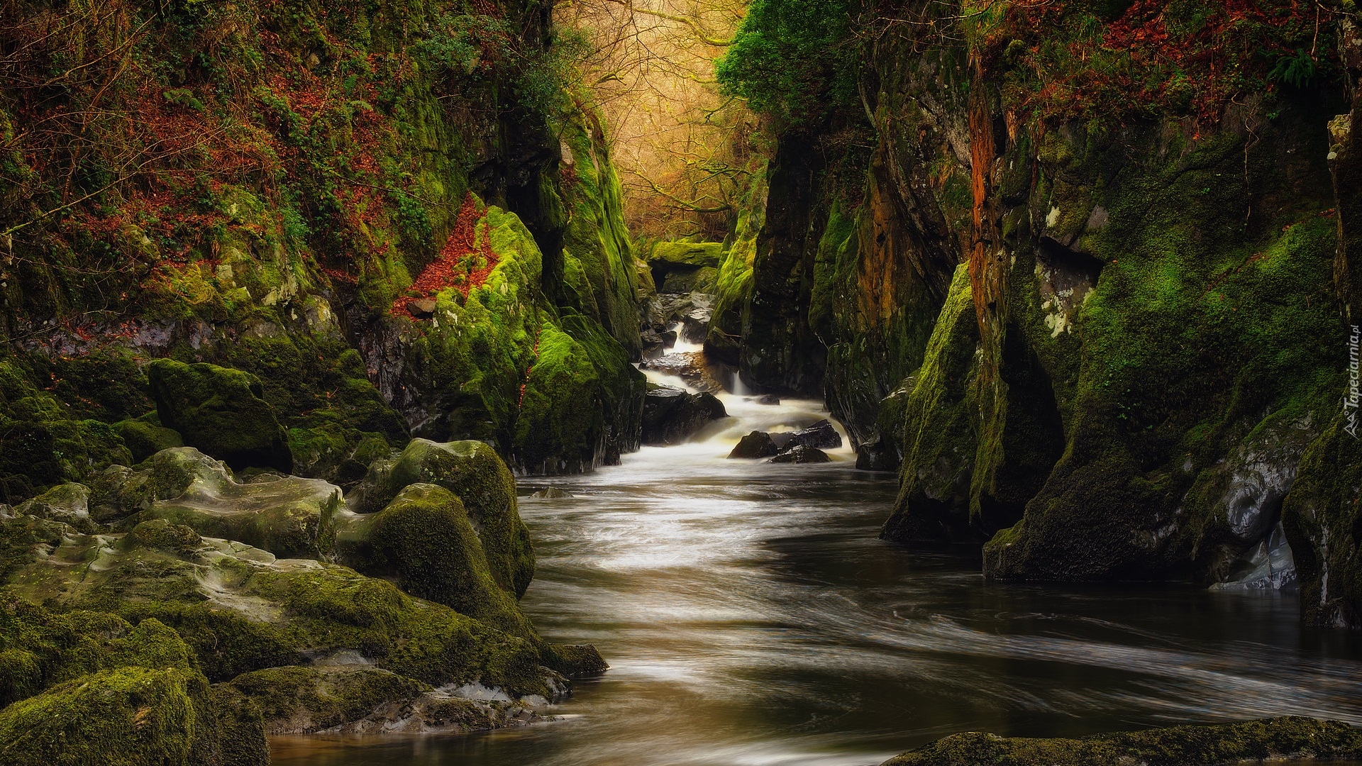 Wąwóz Fairy Glen, Rzeka Conwy, Park Narodowy Snowdonia, Kamienie, Skały, Drzewa, Walia