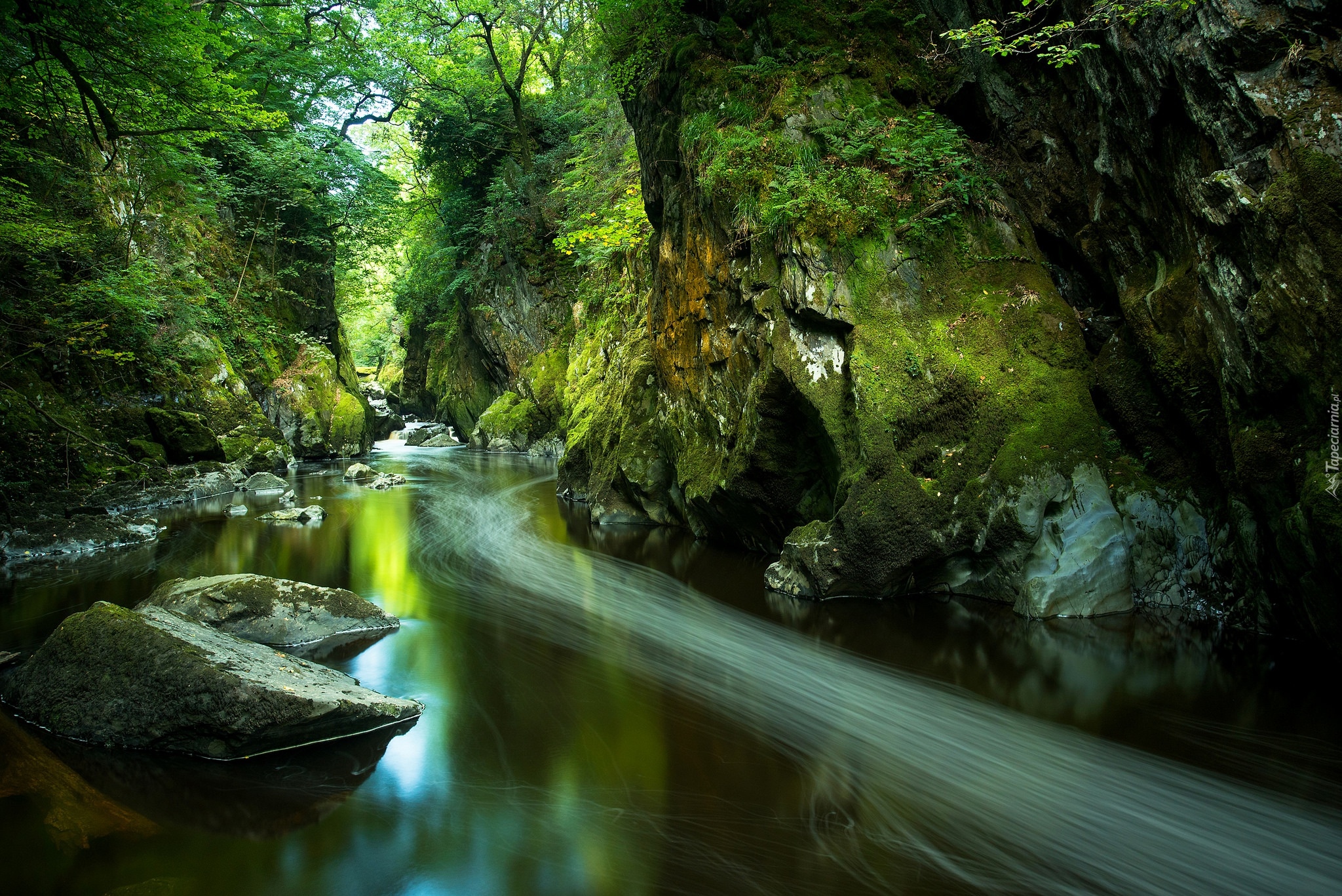 Wąwóz Fairy Glen, Rzeka Conwy, Wioska Betws y Coed, Walia, Park Narodowy Snowdonia, Kamienie, Skały, Drzewa