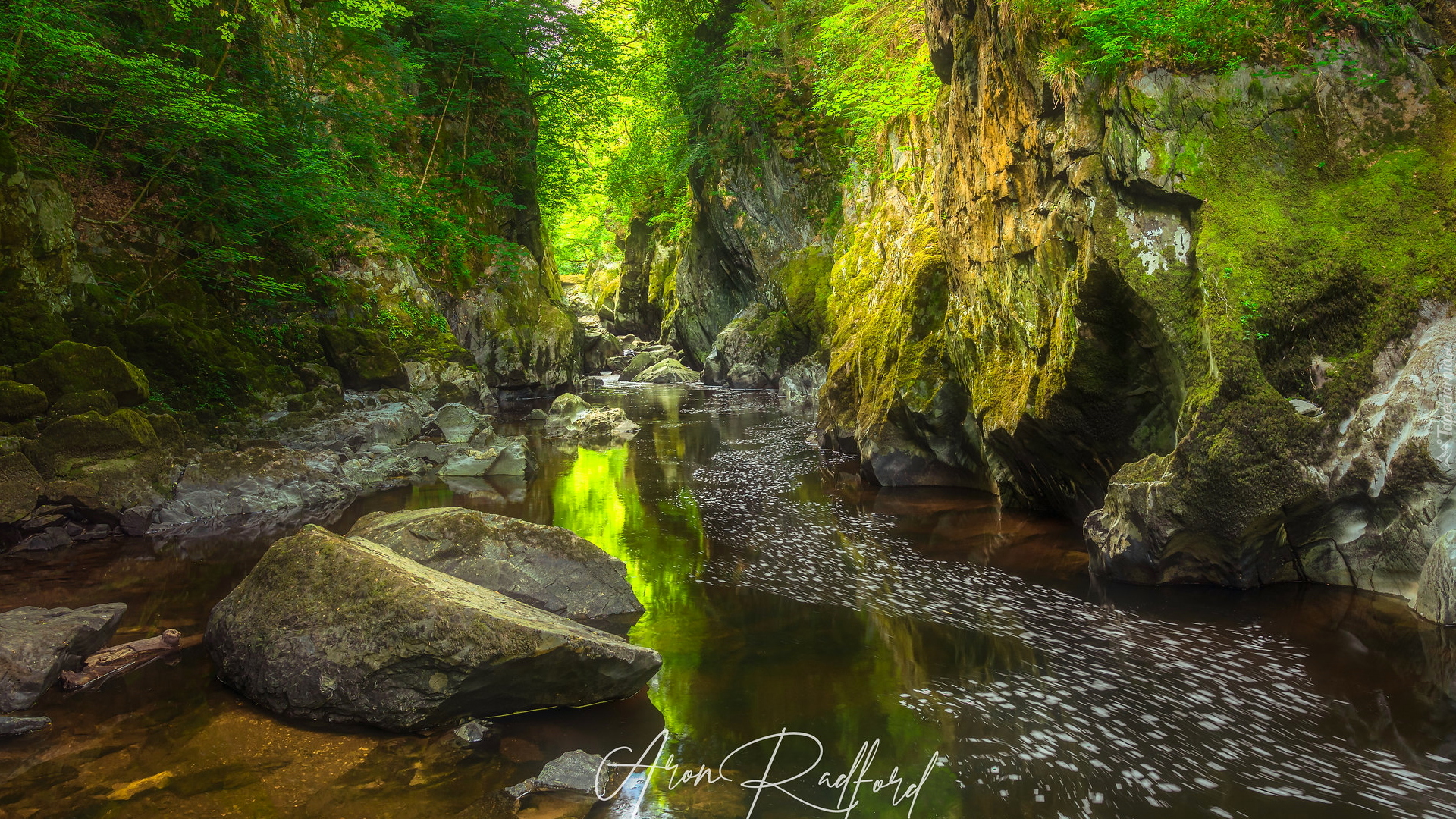 Wąwóz Fairy Glen, Rzeka Conwy, Wioska Betws y Coed, Park Narodowy Snowdonia, Kamienie, Skały, Drzewa, Walia