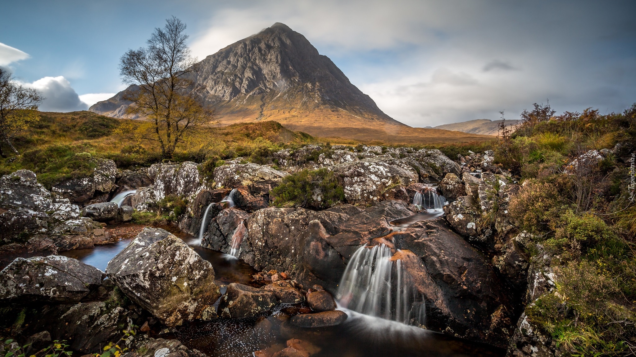 Góra, Buachaille Etive Mor, Skały, Rzeka, River Coupall, Drzewa, Region Highland, Szkocja