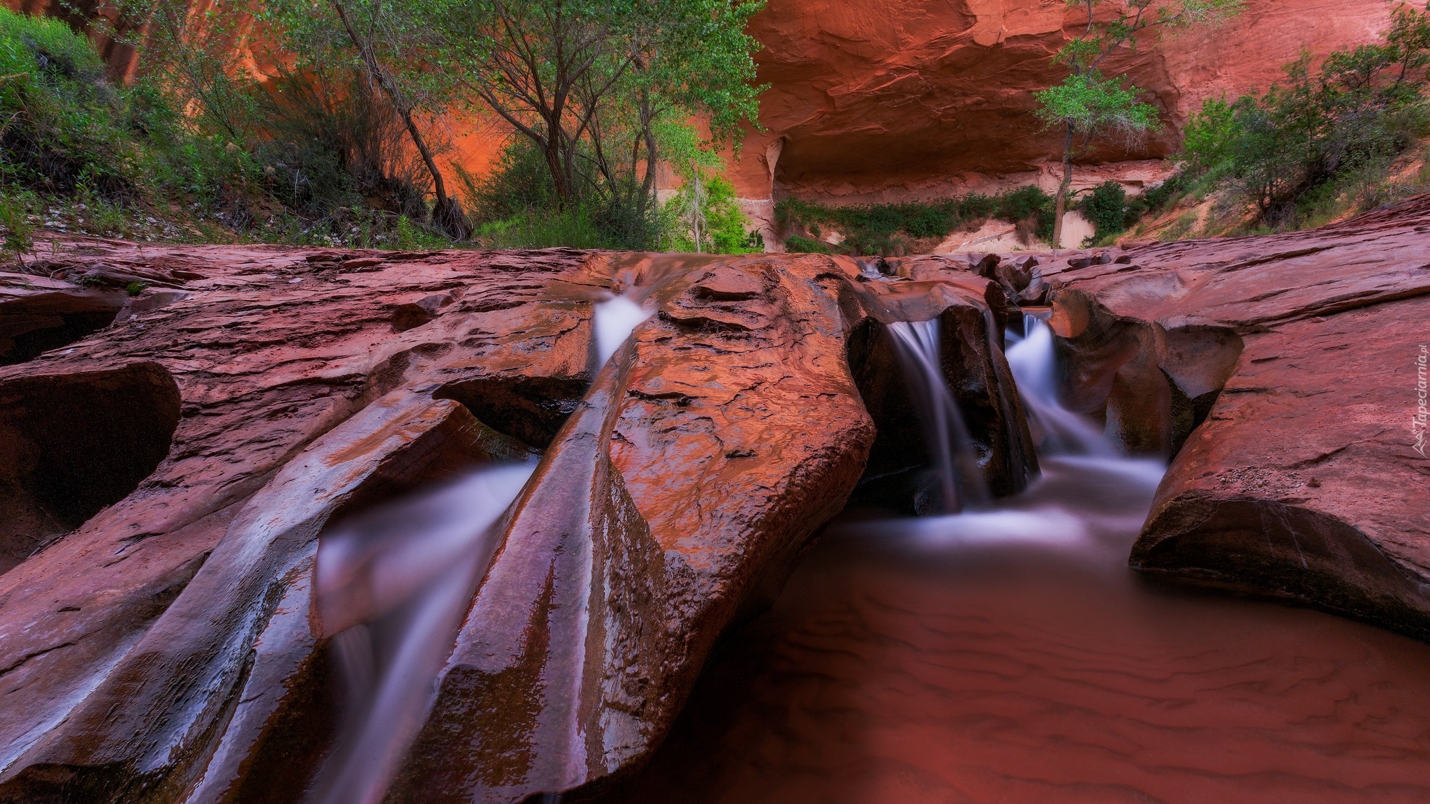 Skały, Rzeka, Coyote Gulch, Krzewy, Utah, Stany Zjednoczone