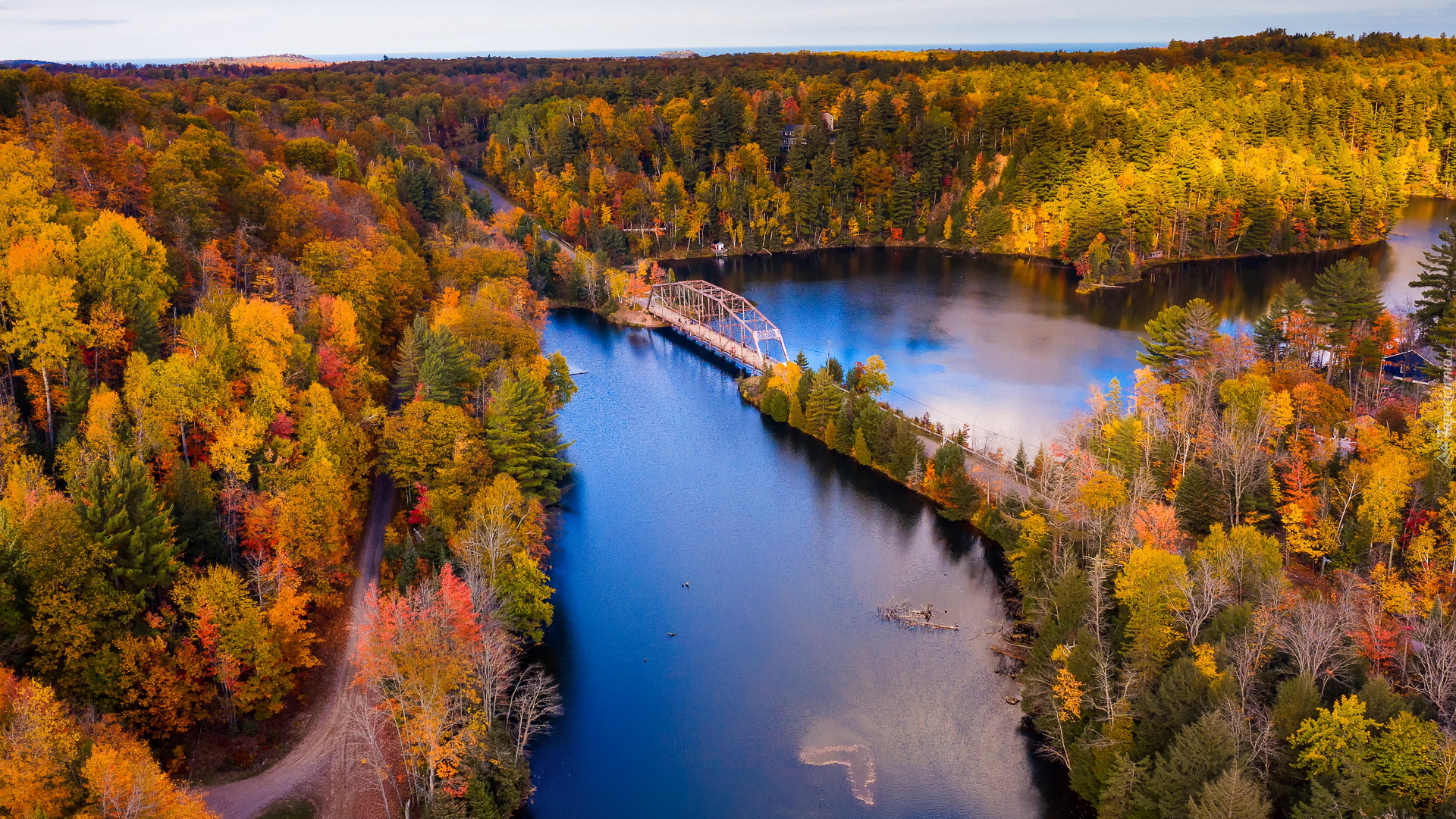 Rzeka, Dead River, Most, Lasy, Jesień, Michigan, Stany Zjednoczone