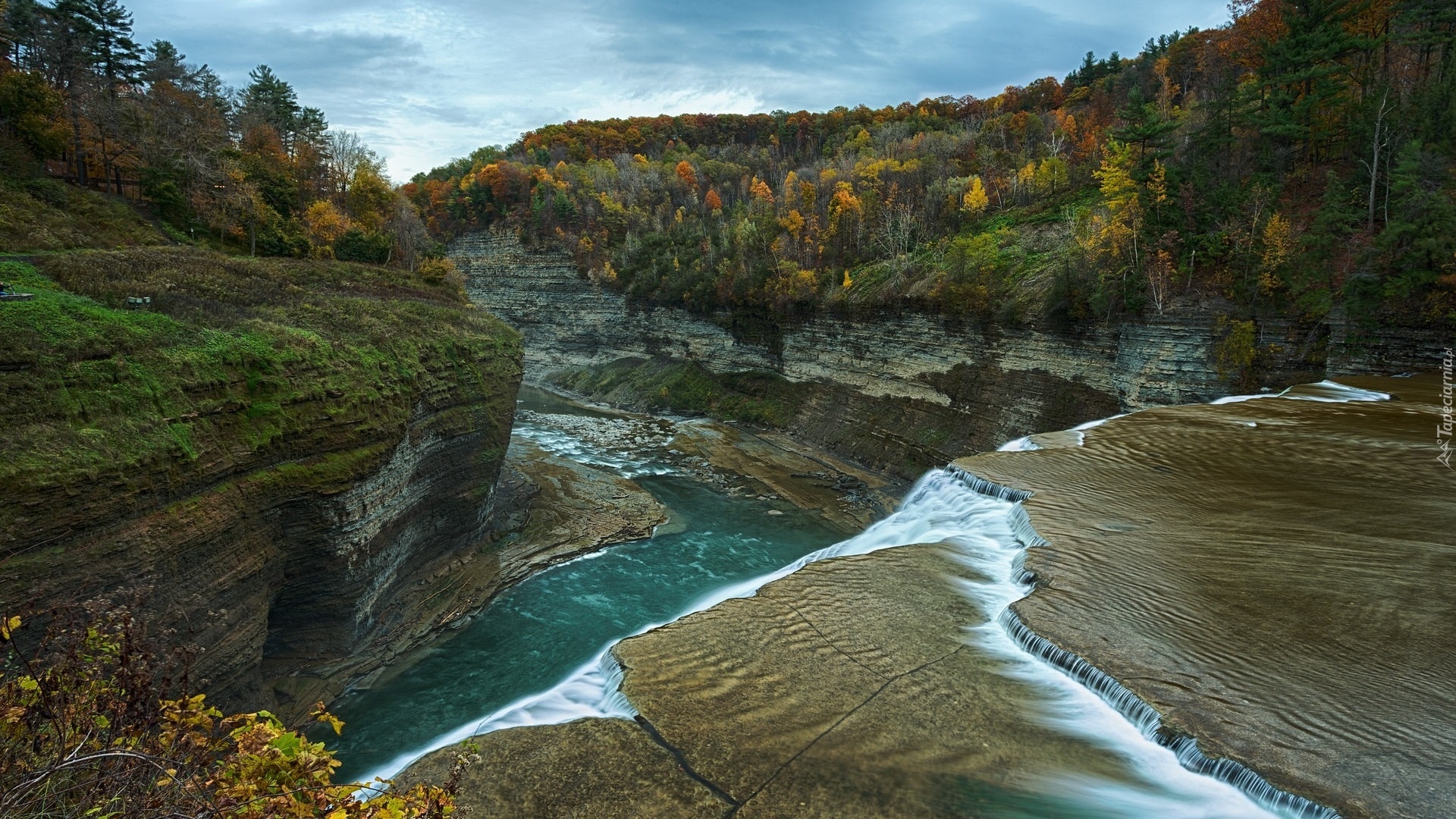 Skały, Drzewa, Rzeka Genesee, Park stanowy Letchwortha, Stan Nowy Jork, Stany Zjednoczone