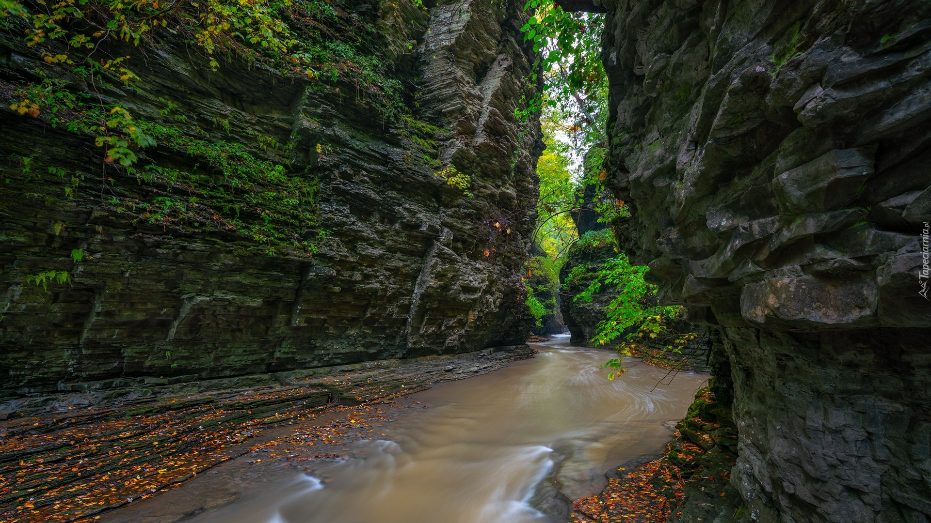 Wąwóz, Skały, Rzeka Glen Creek, Watkins Glen State Park, Nowy Jork, Stany Zjednoczone