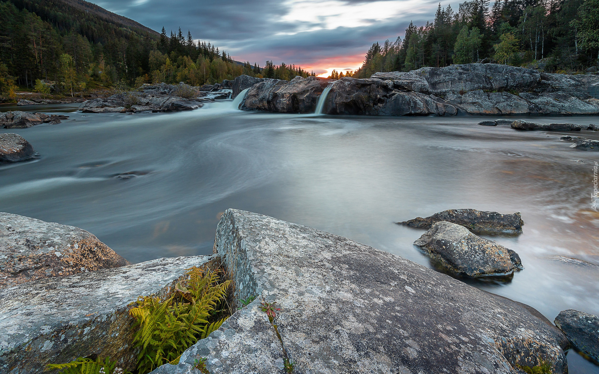 Norwegia, Region Buskerud, Rzeka Hallingdalselva, Skały, Drzewa