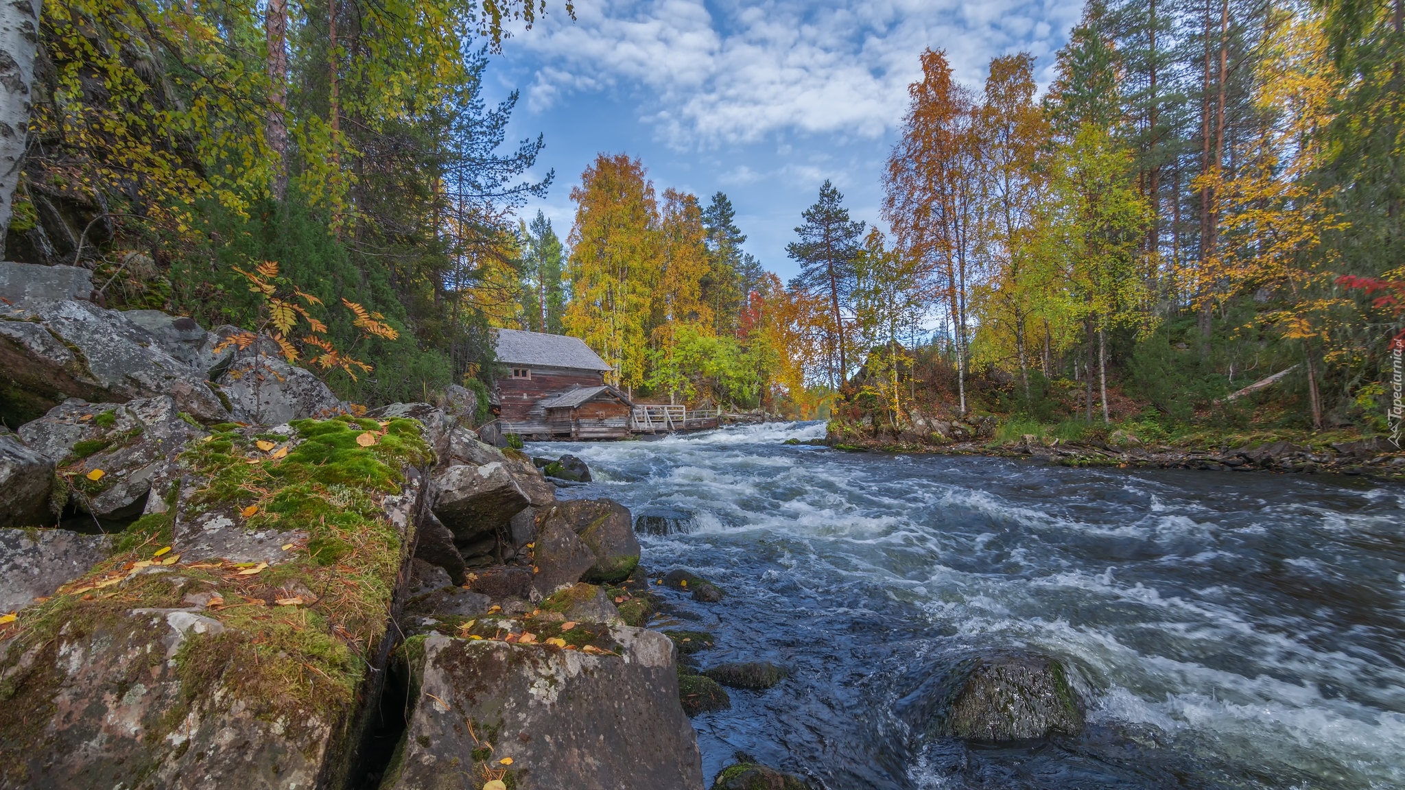 Jesień, Park Narodowy Oulanka, Drewniany, Młyn Myllykoski, Drzewa, Rzeka, Laponia, Finlandia