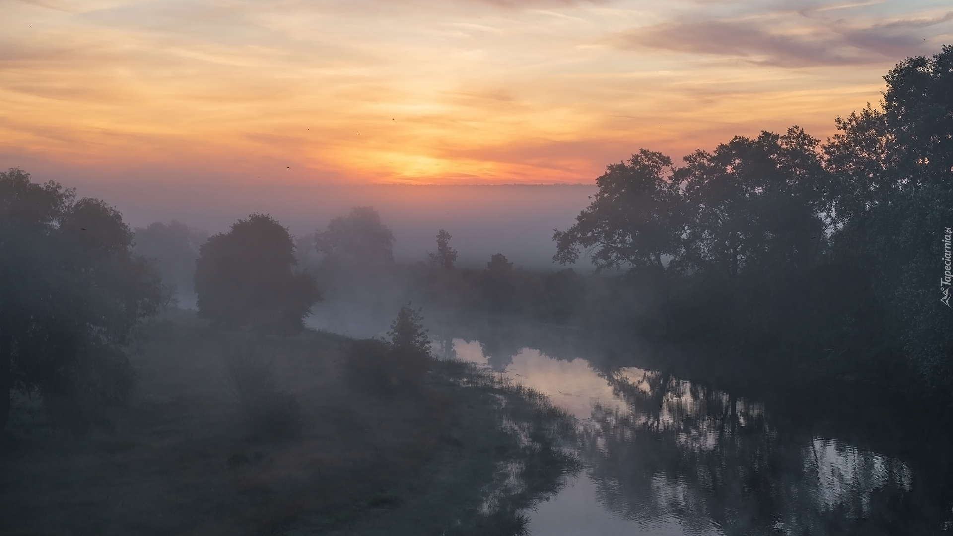 Rzeka, Drzewa, Mgła, Poranek, Wschód słońca