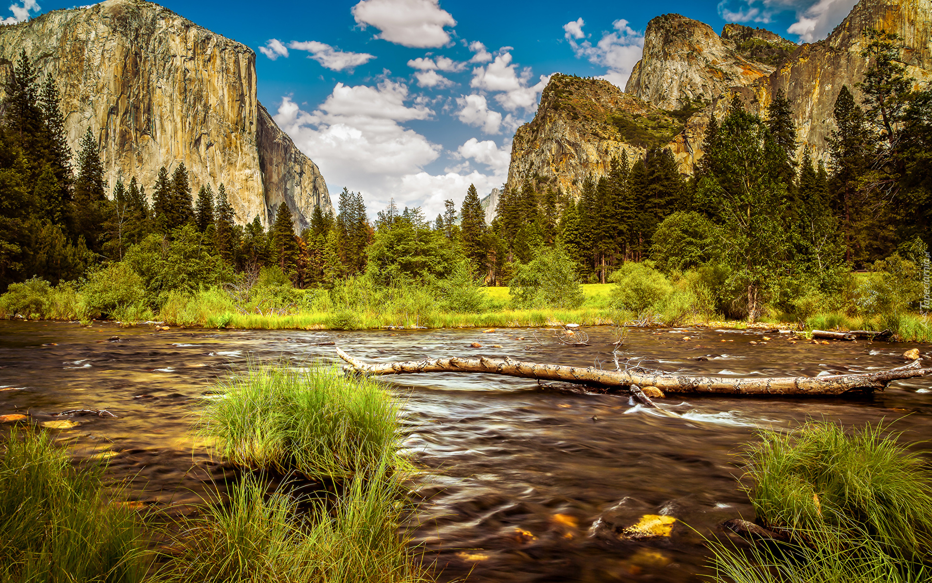 Park Narodowy Yosemite, Rzeka, Merced River, Kamienie, Szuwary, Trawa, Krzaki, Drzewa, Chmury, Góry, Sierra Nevada, Kalifornia, Stany Zjednoczone