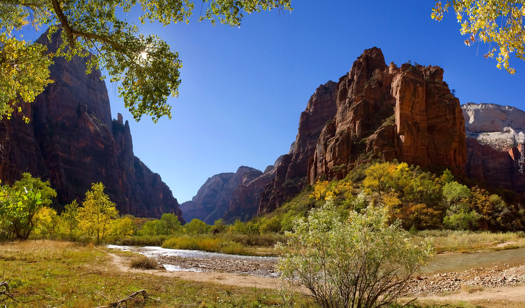 Park Narodowy Zion, Stan Utah, Stany Zjednoczone, Rzeka, Góry, Skały, Drzewa