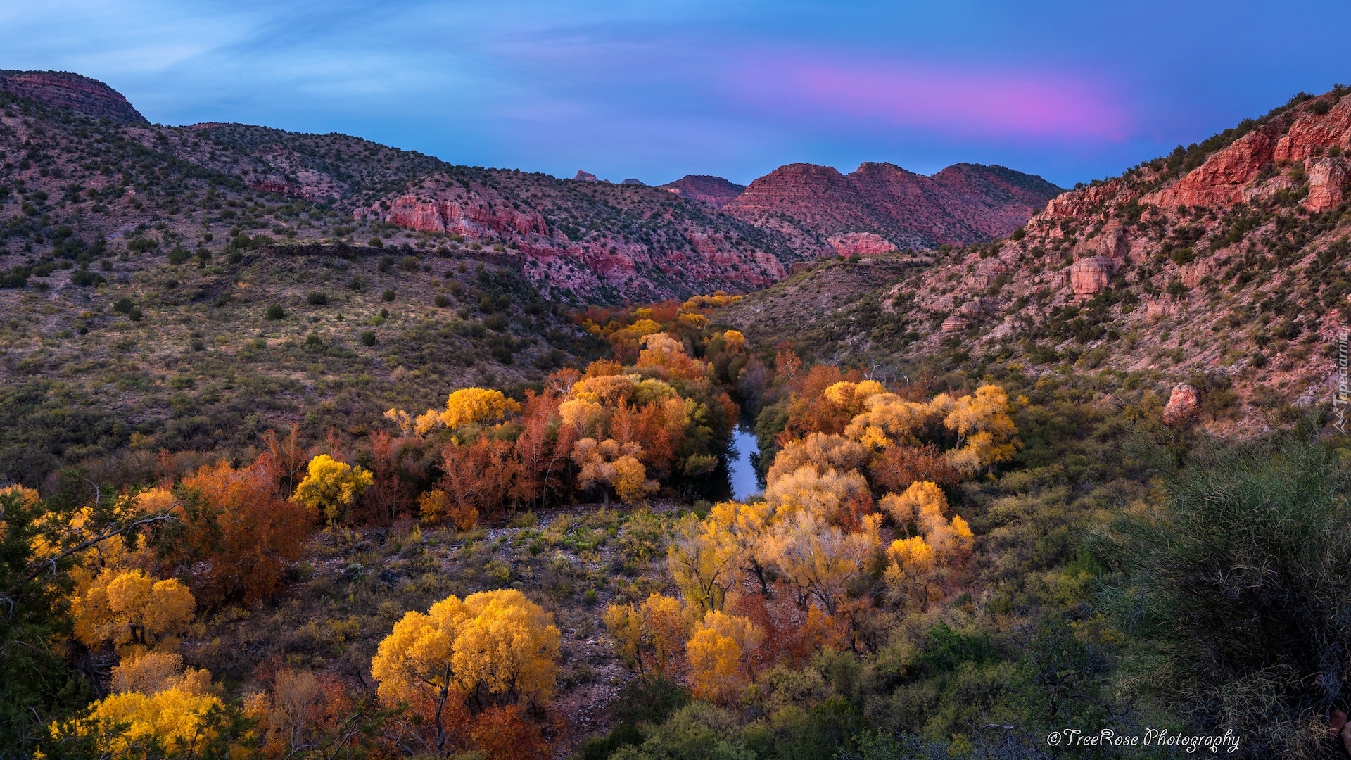 Jesień, Kolorowe, Drzewa, Góry, Kanion Sycamore, Rzeka, Arizona, Stany Zjednoczone