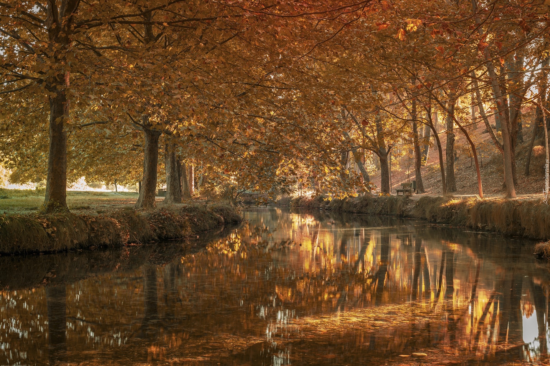 Jesień, Rzeka, Drzewa, Park