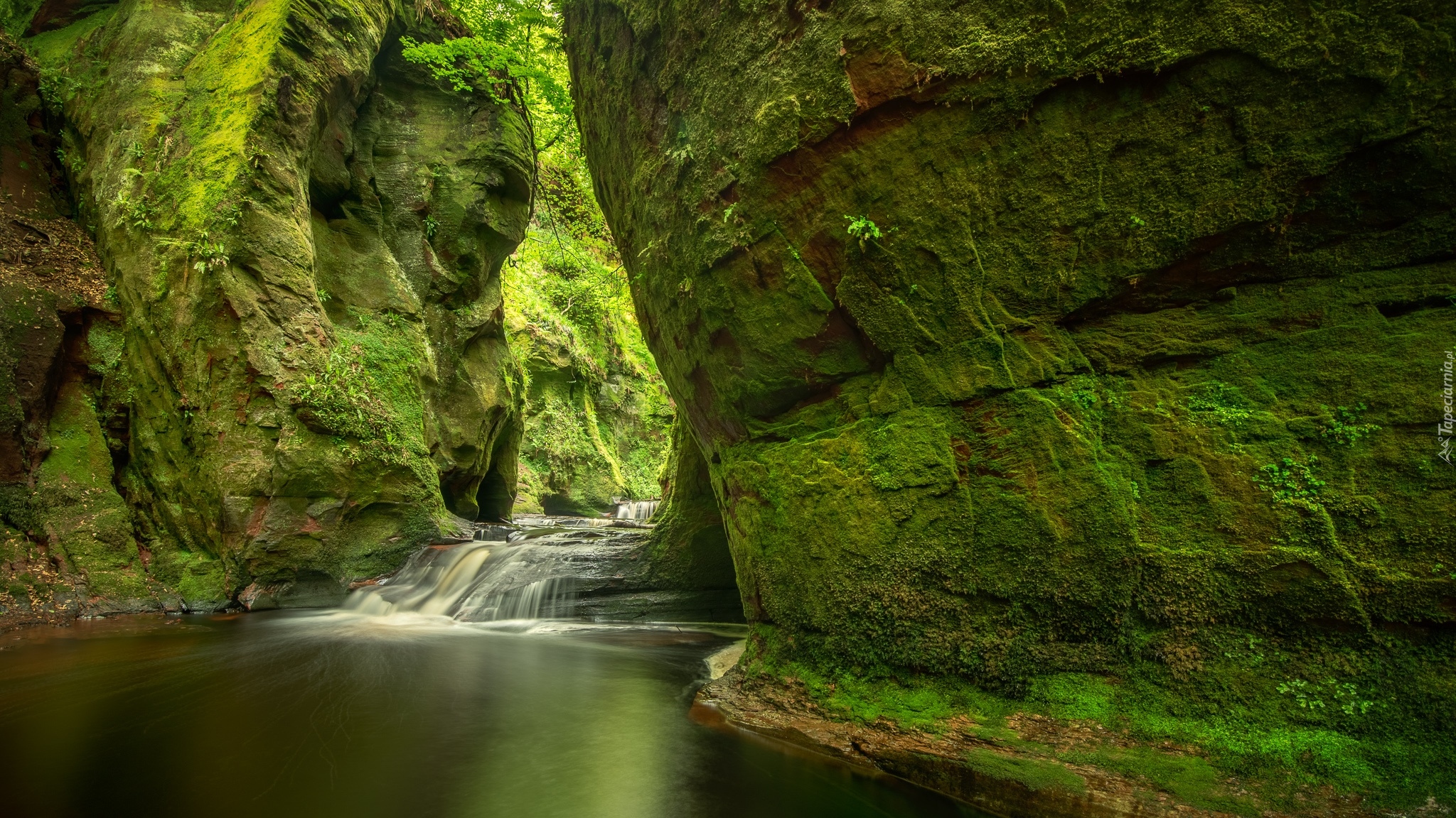 Szkocja, Wąwóz Finnich Glen, Góry, Skały, Omszałe, Roślinność, Rzeka Carnock Burn