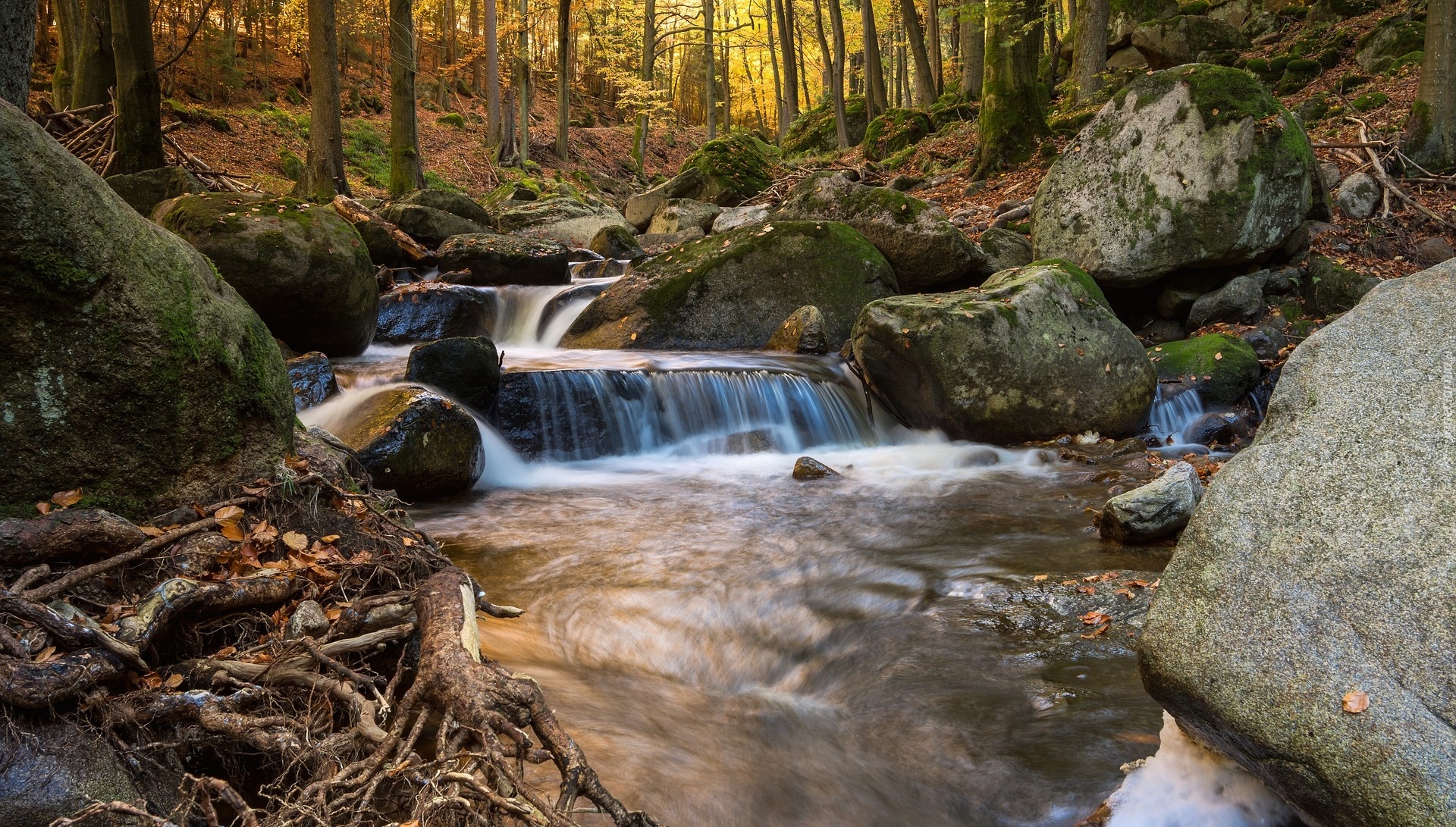 Niemcy, Saksonia-Anhalt, Powiat Harz, Rzeka Ilse, Jesień, Kamienie, Las, Drzewa