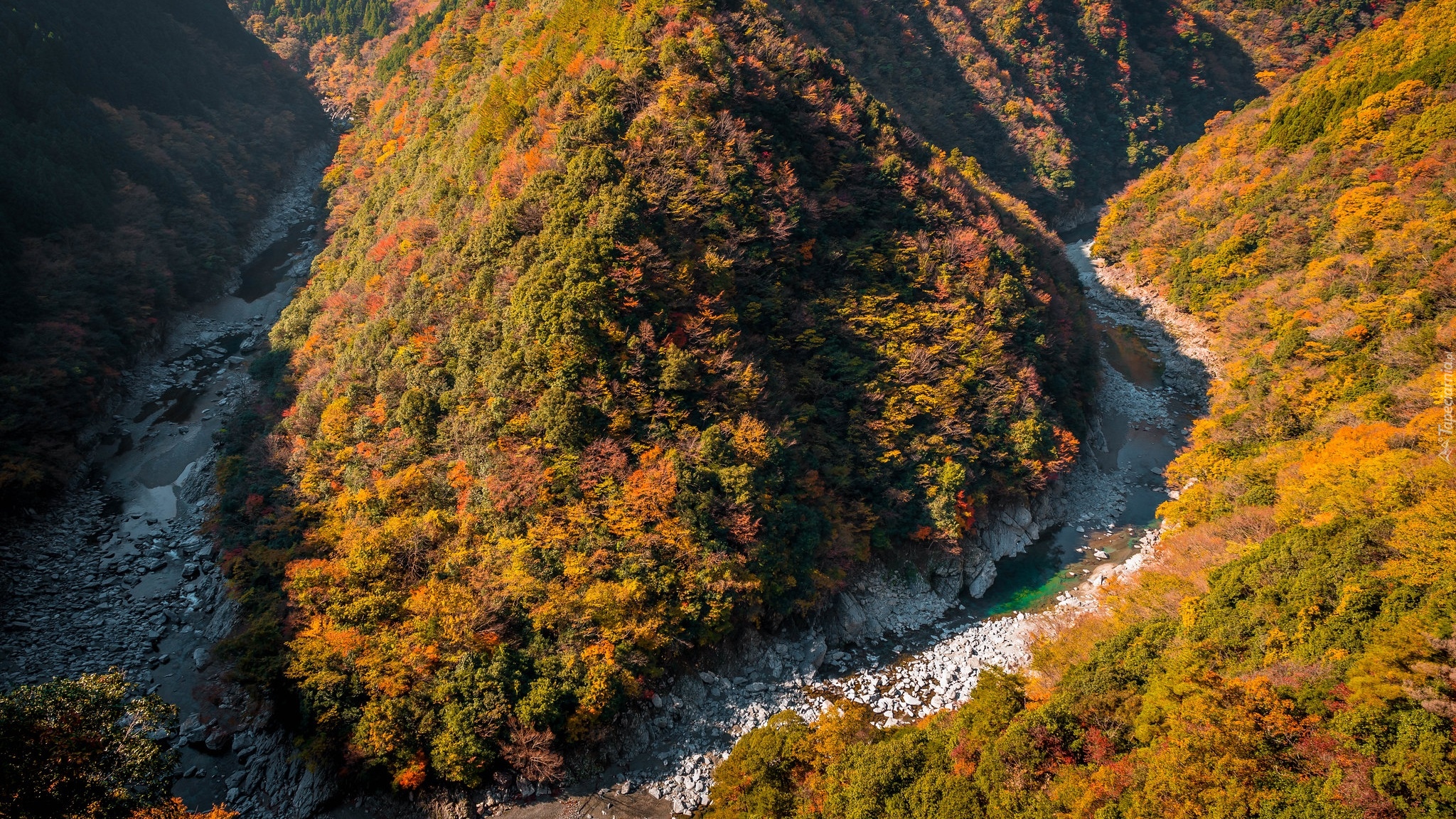 Jesień, Zalesione, Góry, Drzewa, Lasy, Rzeka Iya, Dolina, Hinoji Valley, Wyspa Sikoku, Japonia