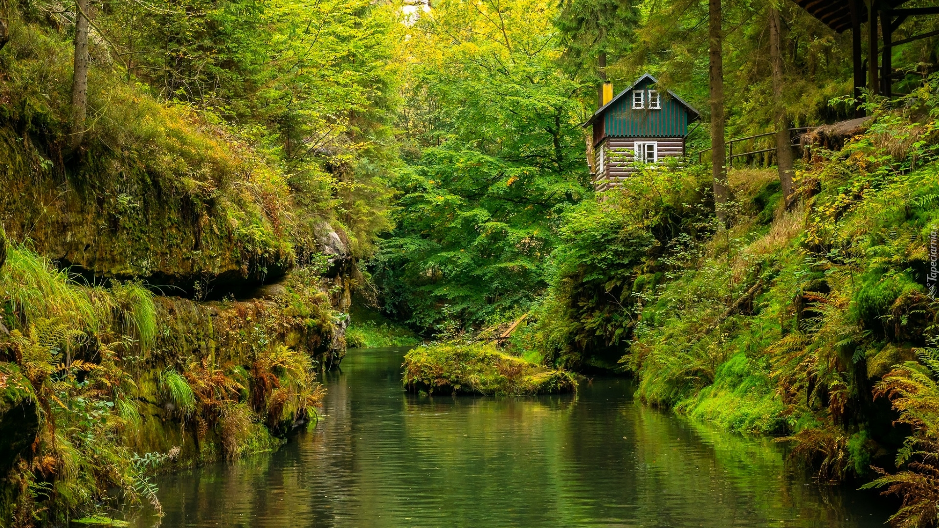 Roślinność, Drzewa, Skała, Dom, Rzeka Kamienica, Park Narodowy Czeska Szwajcaria, Czechy