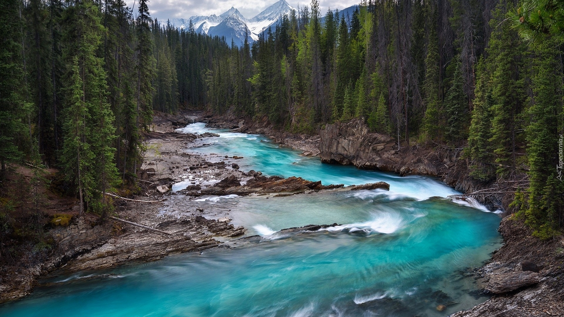 Kanada, Kolumbia Brytyjska, Rzeka Kicking Horse, Las, Góry