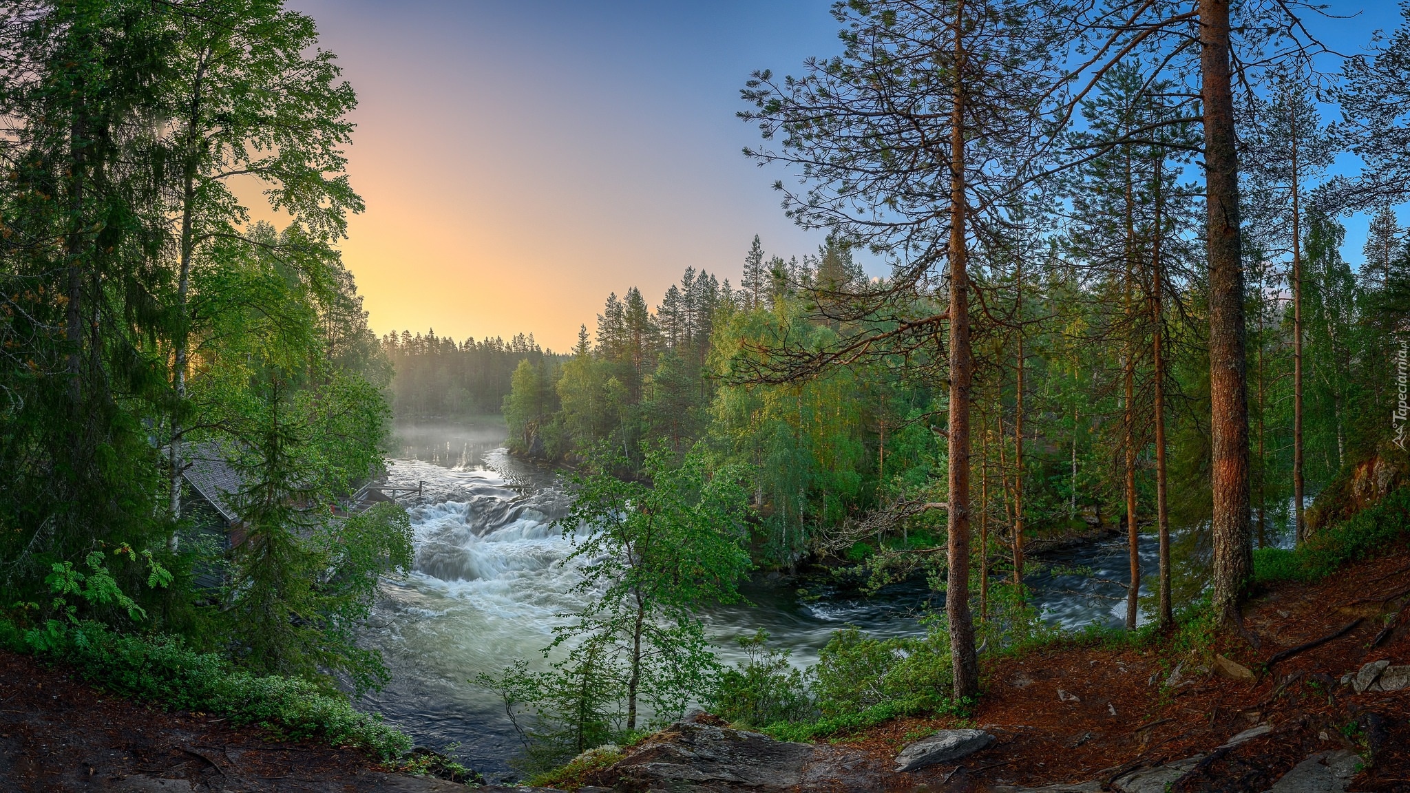 Finlandia, Laponia, Rzeka Kitkajoki, Park Narodowy Oulanka, Wiosna, Las, Rzeka, Drzewa