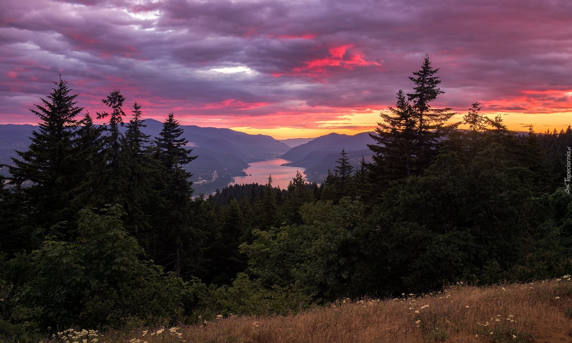 Góry, Columbia River Gorge, Drzewa, Góry Kaskadowe, Rzeka Kolumbia, Chmury, Zachód słońca, Stan Waszyngton, Stany Zjednoczone