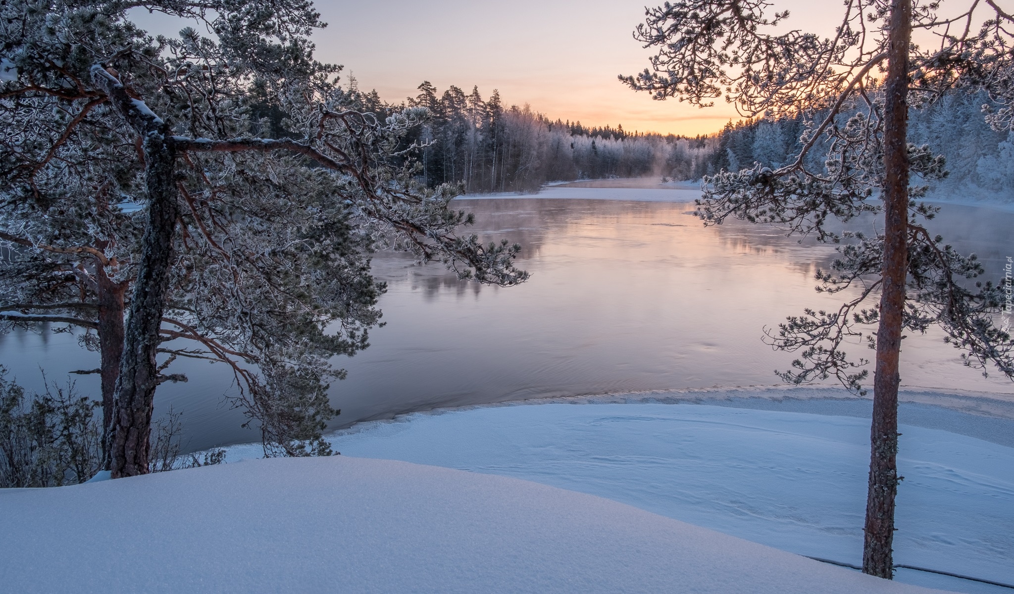 Zima, Rzeka Kymijoki, Las, Drzewa, Finlandia