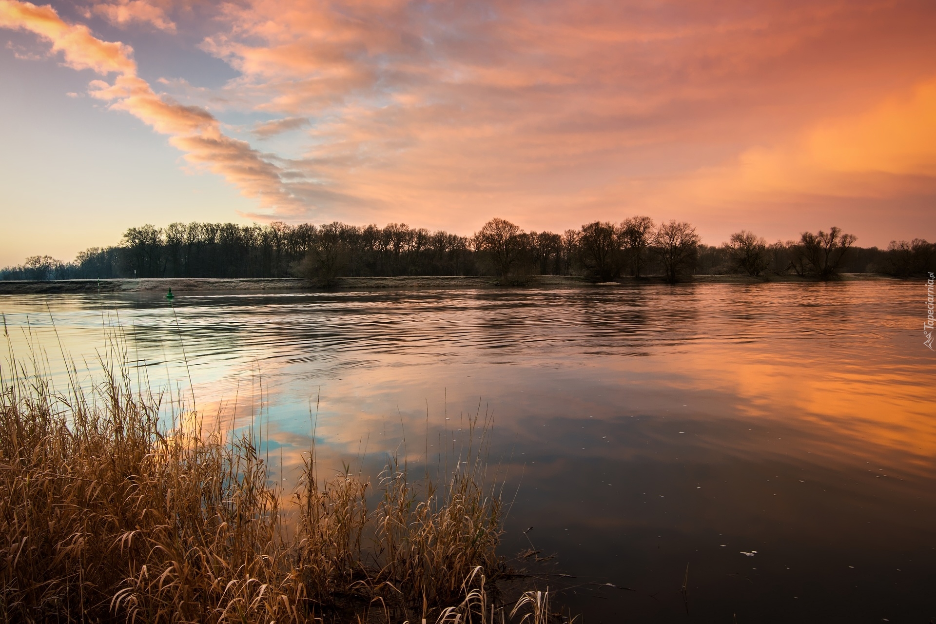 Rzeka Łaba, Drzewa, Wschód słońca, Niemcy