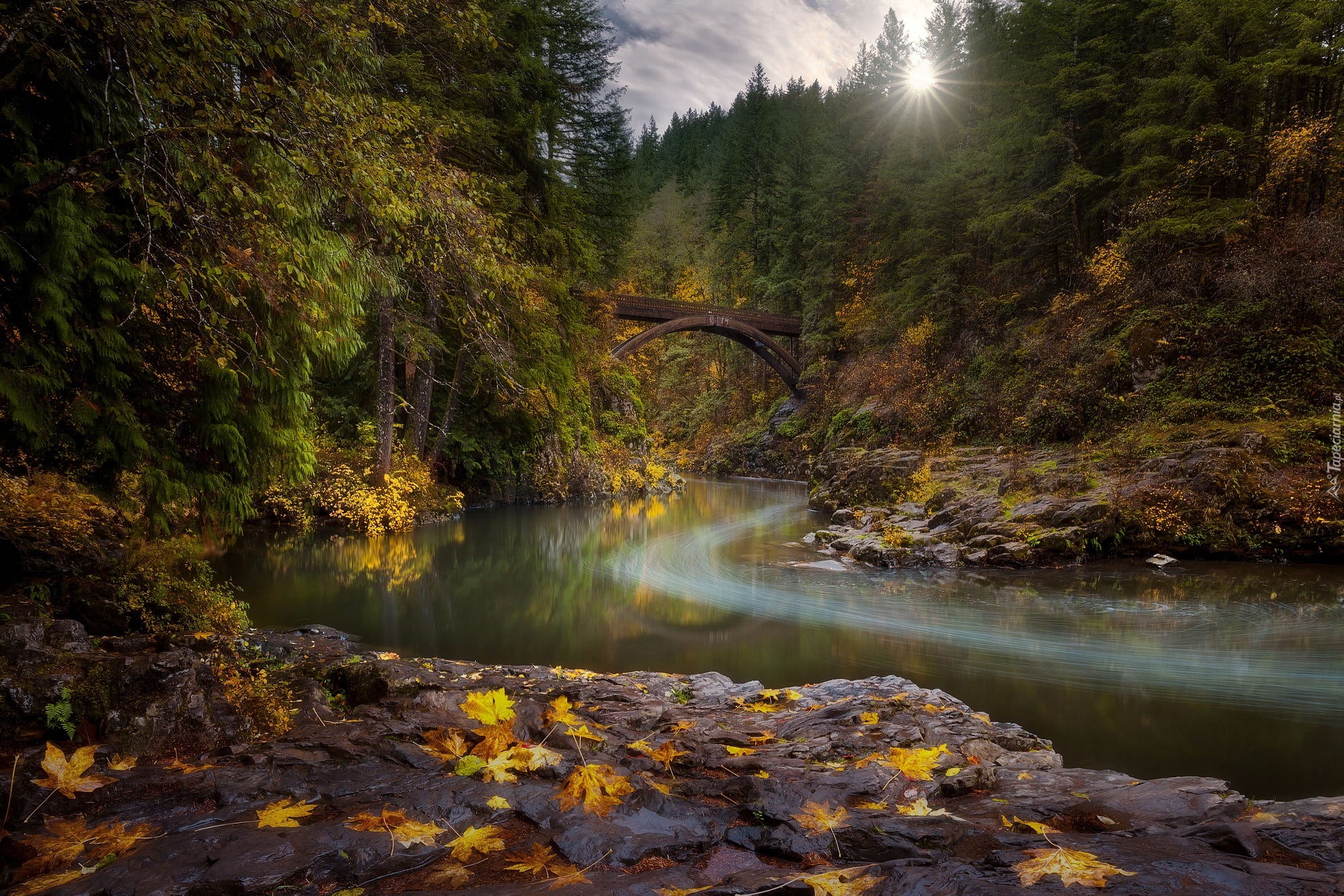 Las, Jesienne, Drzewa, Rzeka Lewis River, Most Moulton Falls Bridge, Skały, Stan Waszyngton, Stany Zjednoczone