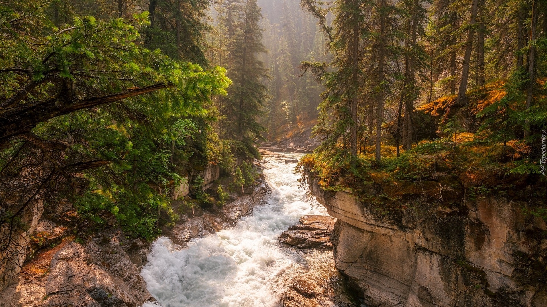 Skały, Rzeka, Maligne River, Drzewa, Maligne Canyon, Park Narodowy Jasper, Kanada