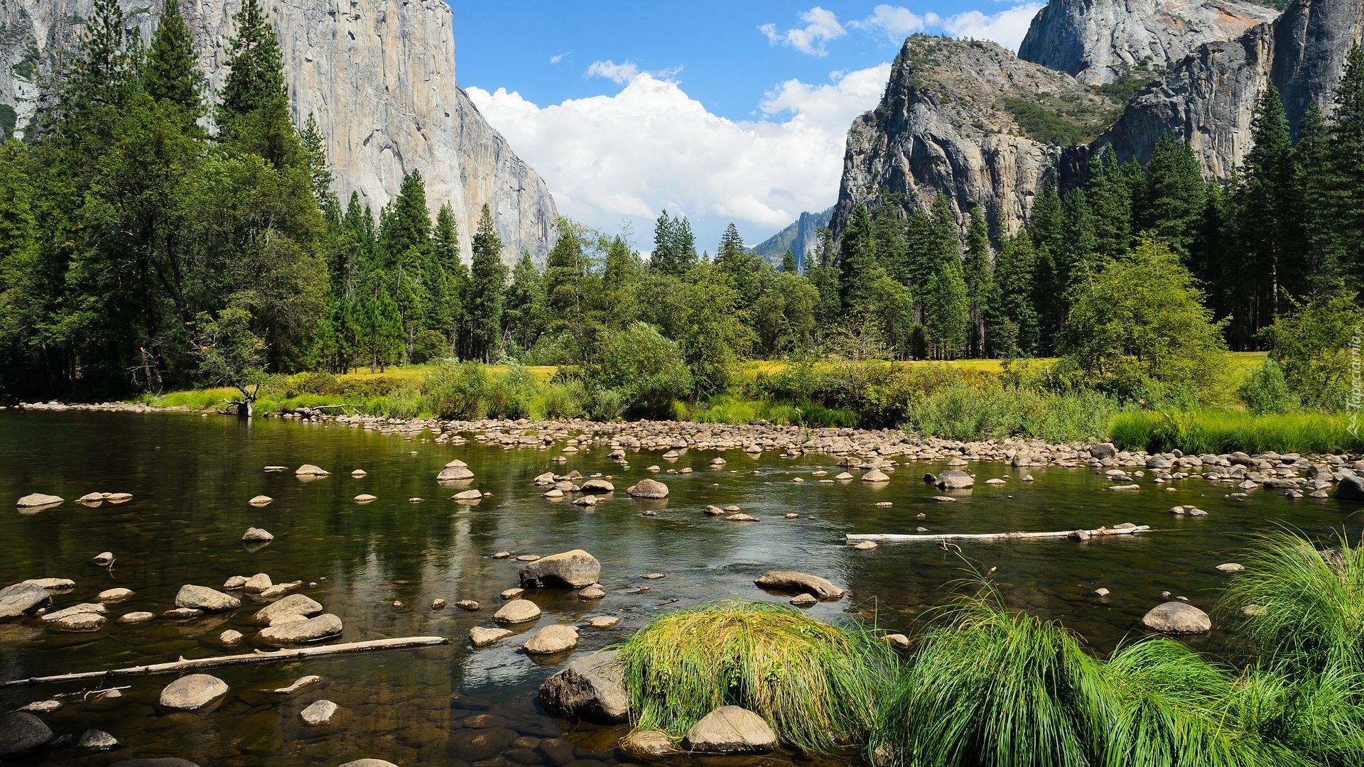 Góry, Sierra Nevada, Rzeka, Merced River, Drzewa, Kamienie, Trawa, Park Narodowy Yosemite, Stan Kalifornia, Stany Zjednoczone