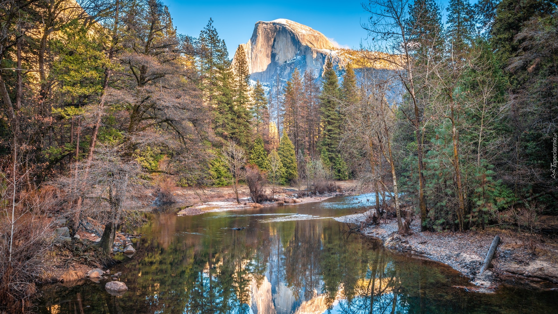 Stany Zjednoczone, Kalifornia, Park Narodowy Yosemite, Góry Sierra Nevada, Szczyt El Capitan, Rzeka Merced River, Drzewa