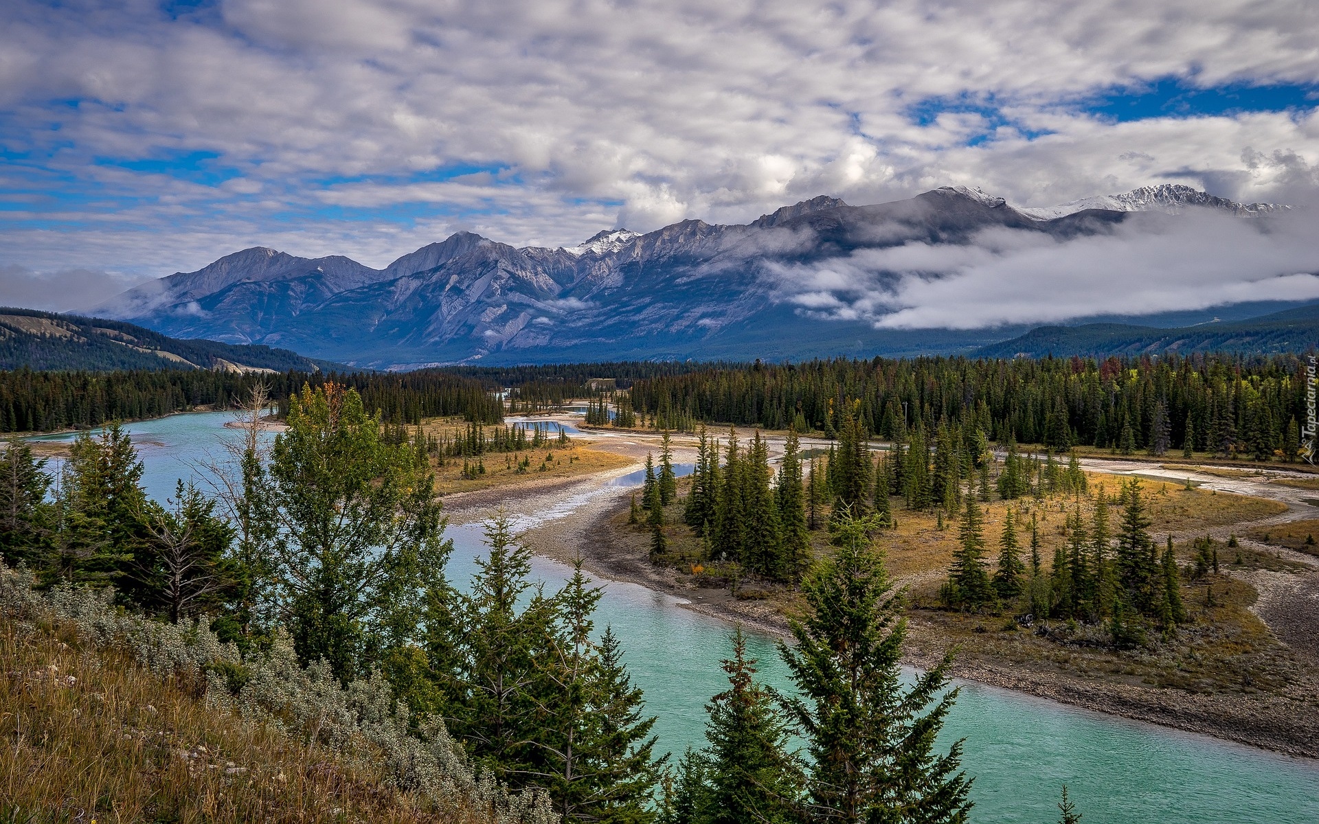 Góry, Rzeka Mietle, Świerki, Park Narodowy Jasper, Alberta, Kanada