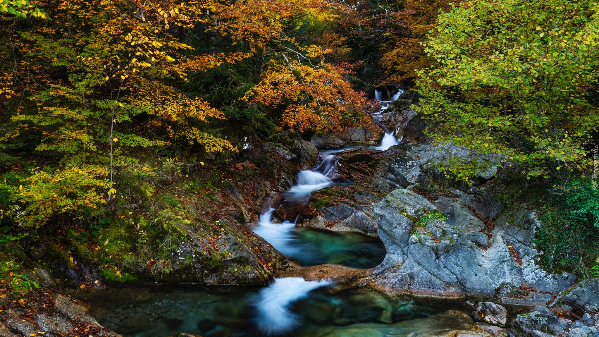 Francja, Pireneje, Las, Rzeka, Wąwóz, Skały, Jesień, Dolina, Valle de Ossau