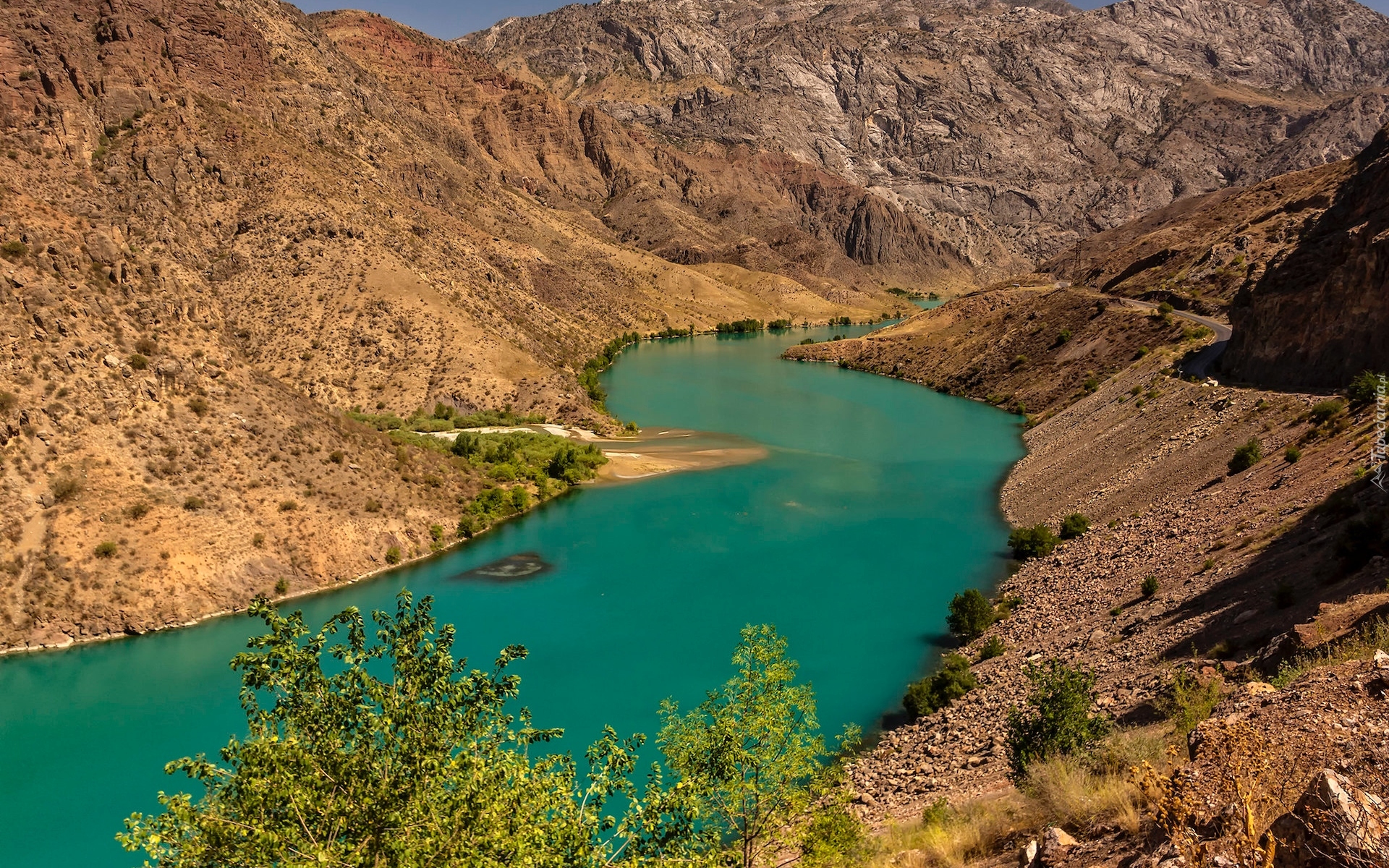 Rzeka Naryn, Góry, Drzewo, Obwód Dżalalabad, Kirgistan