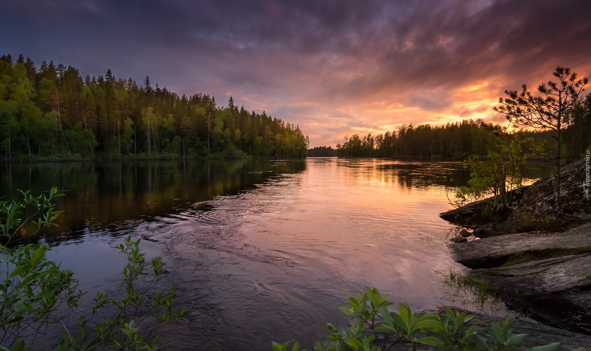Finlandia, Rzeka Neitijoki, Las, Drzewa, Zachód słońca, Chmury Rzeka