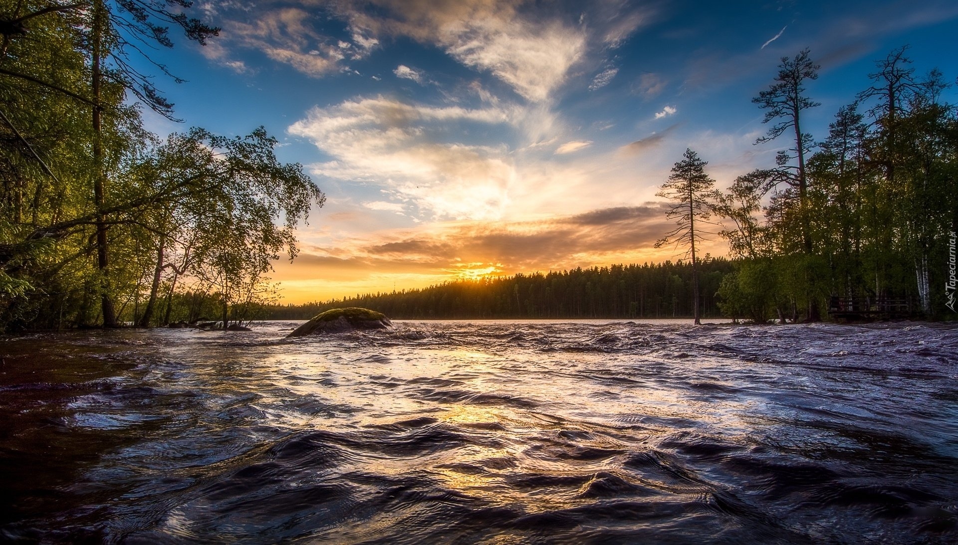 Norwegia, Rzeka Neitijoki, Zachód słońca, Drzewa