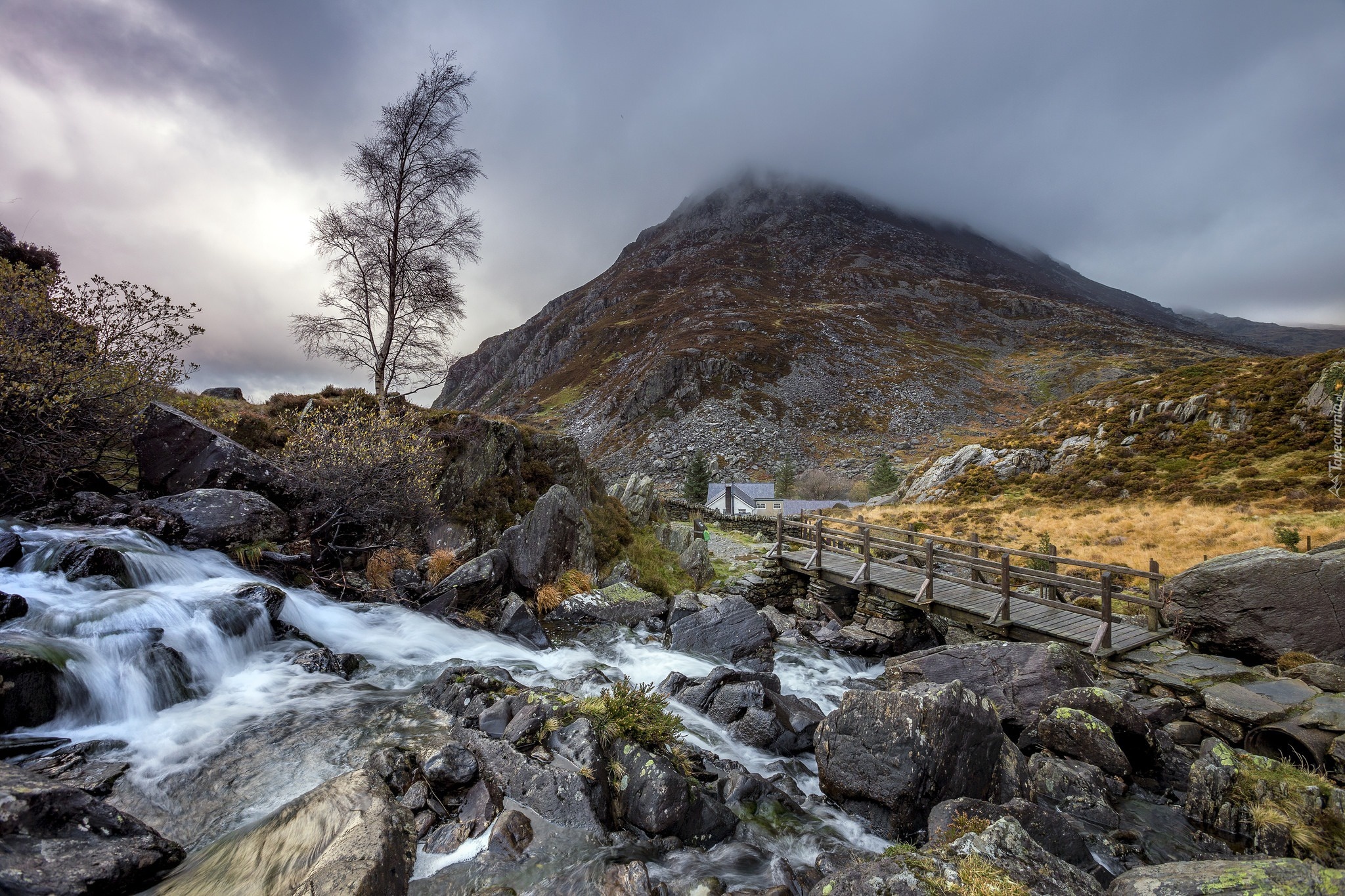 Walia, Park Narodowy Snowdonia, Góry, Dolina Ogwen, Rzeka Ogwen, Skały, Kamienie, Mostek, Drzewo, Mgła