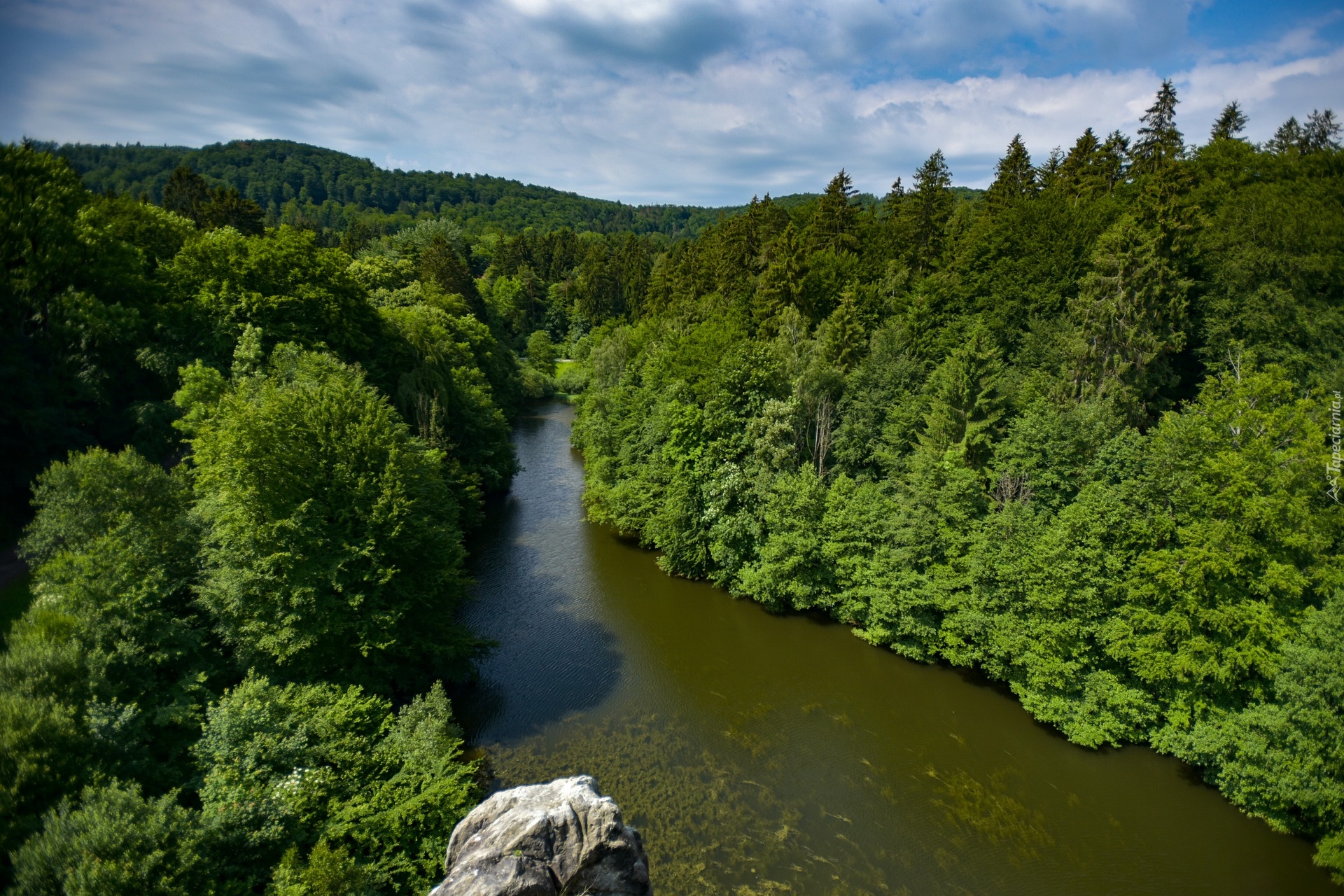 Las Teutoburski, Zielone, Drzewa, Rzeka, Niemcy