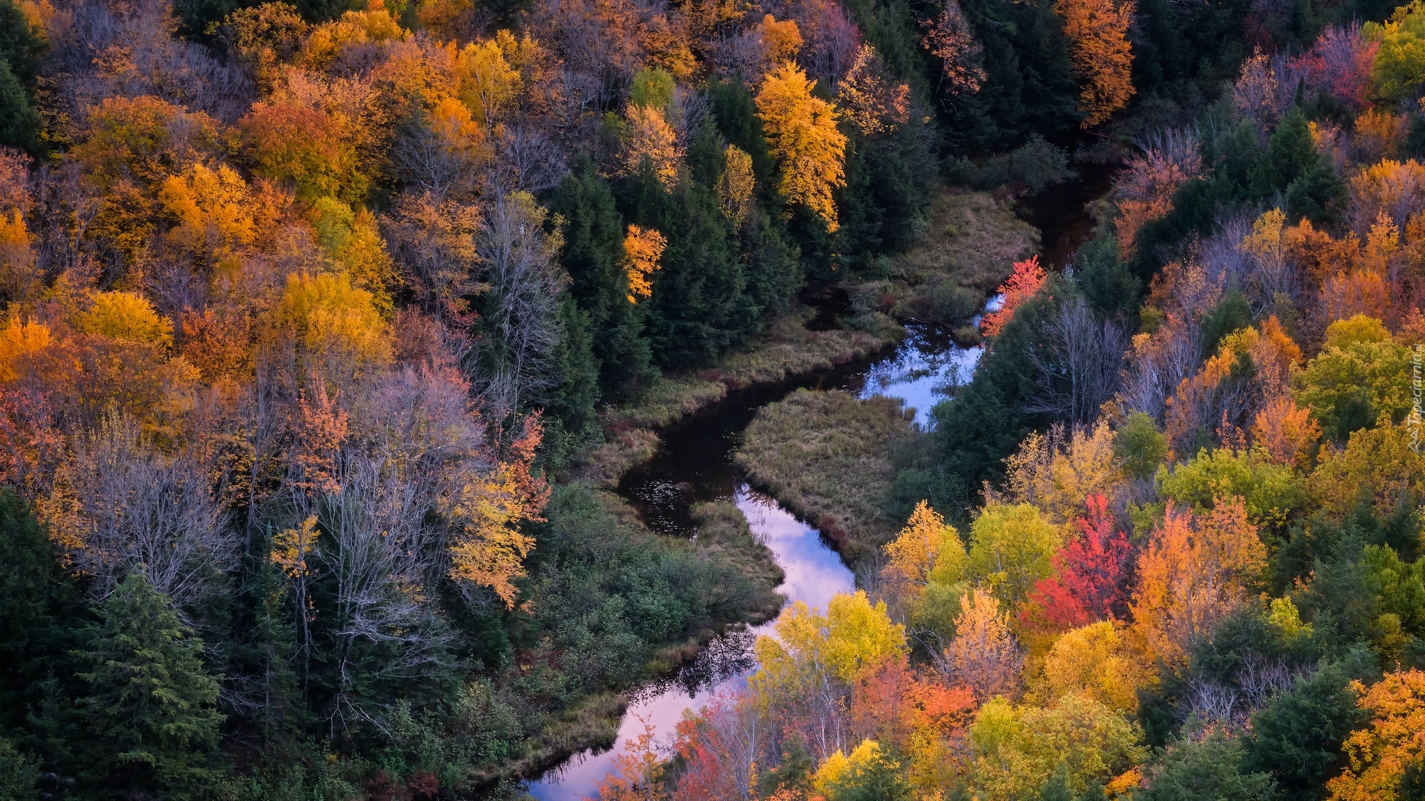 Jesień, Las, Rzeka, Kolorowe, Drzewa