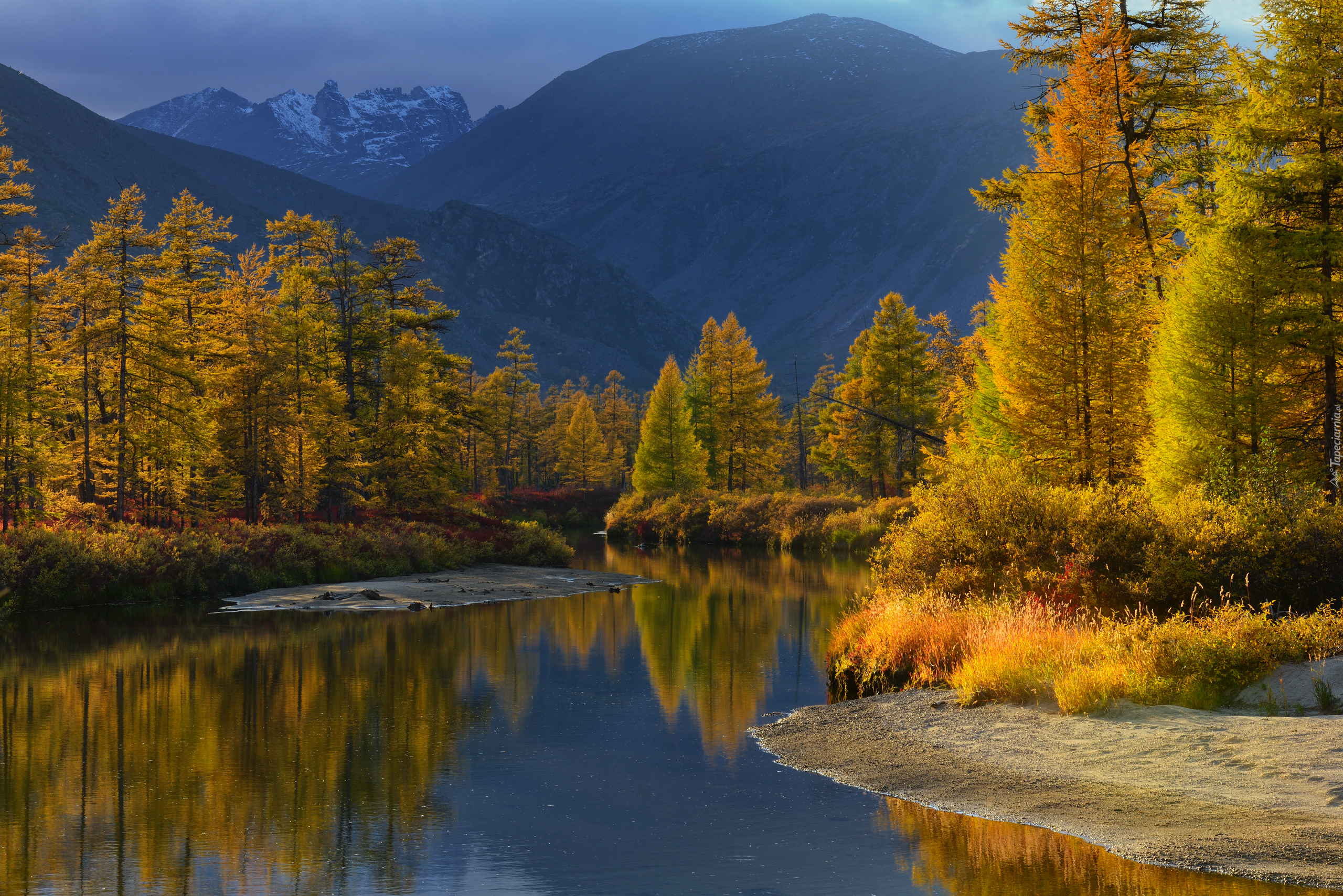 Jesień, Góry, Rzeka, Purga, Drzewa, Kołyma, Magadan, Rosja