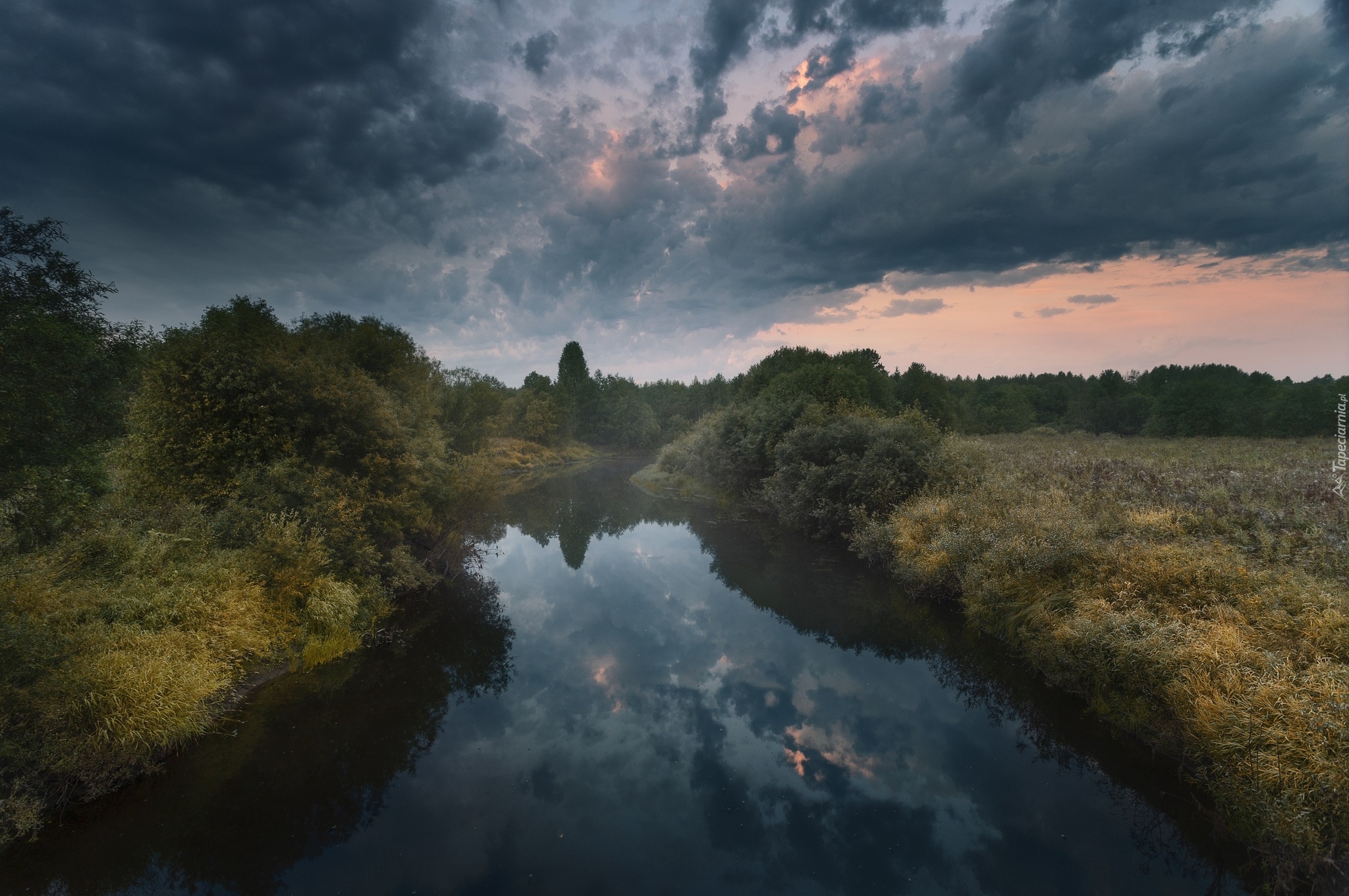 Rzeka Puya, Łąki, Drzewa, Chmury, Obwód archangielski, Rosja