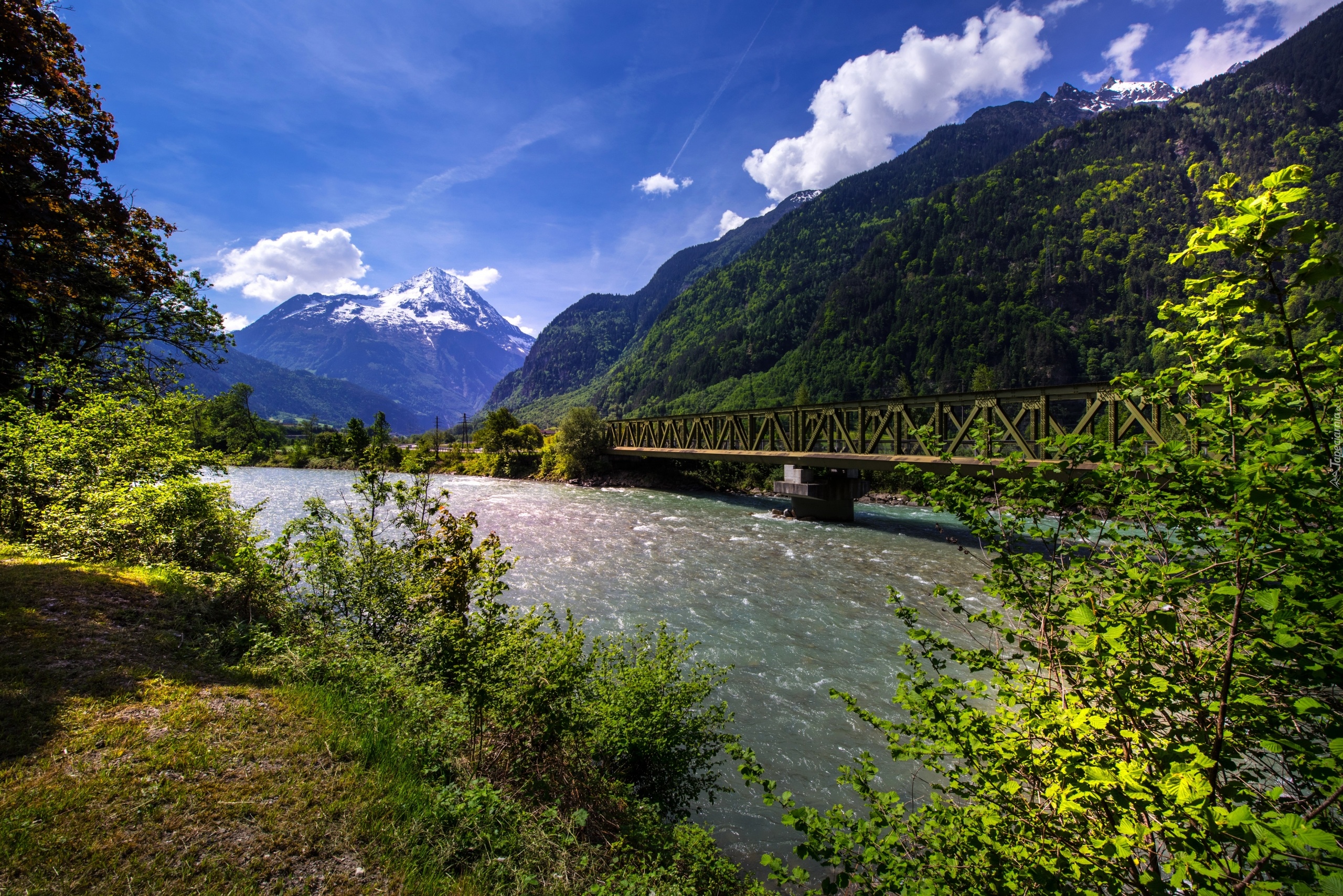 Rzeka Reuss, Szwajcaria, Most, Góry, Drzewa, Chmury