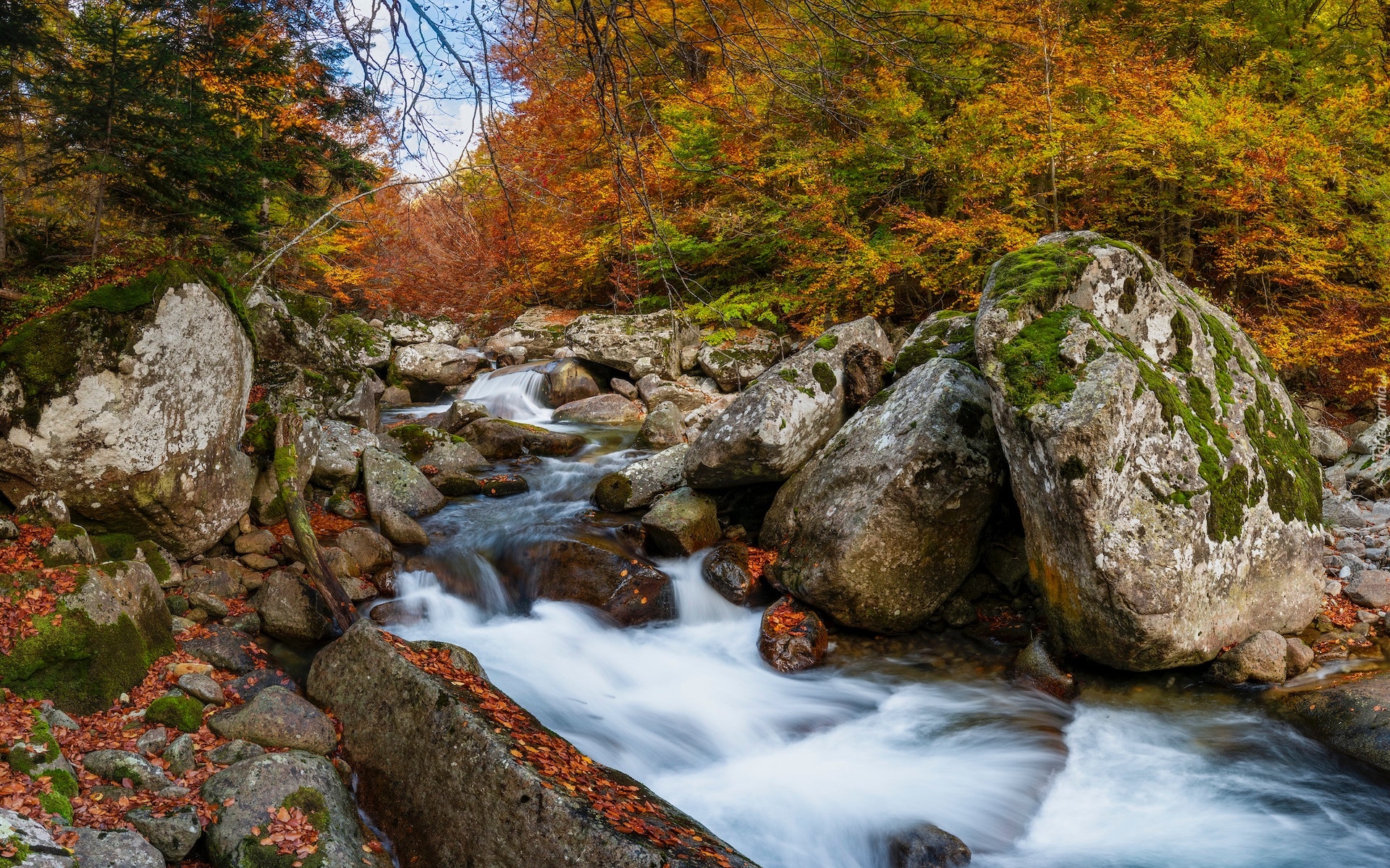 Hiszpania, Aragonia, Rezerwat przyrody, Posets Maladeta, Drzewa, Rzeka, Rio Ara, Kamienie, Skały, Jesień