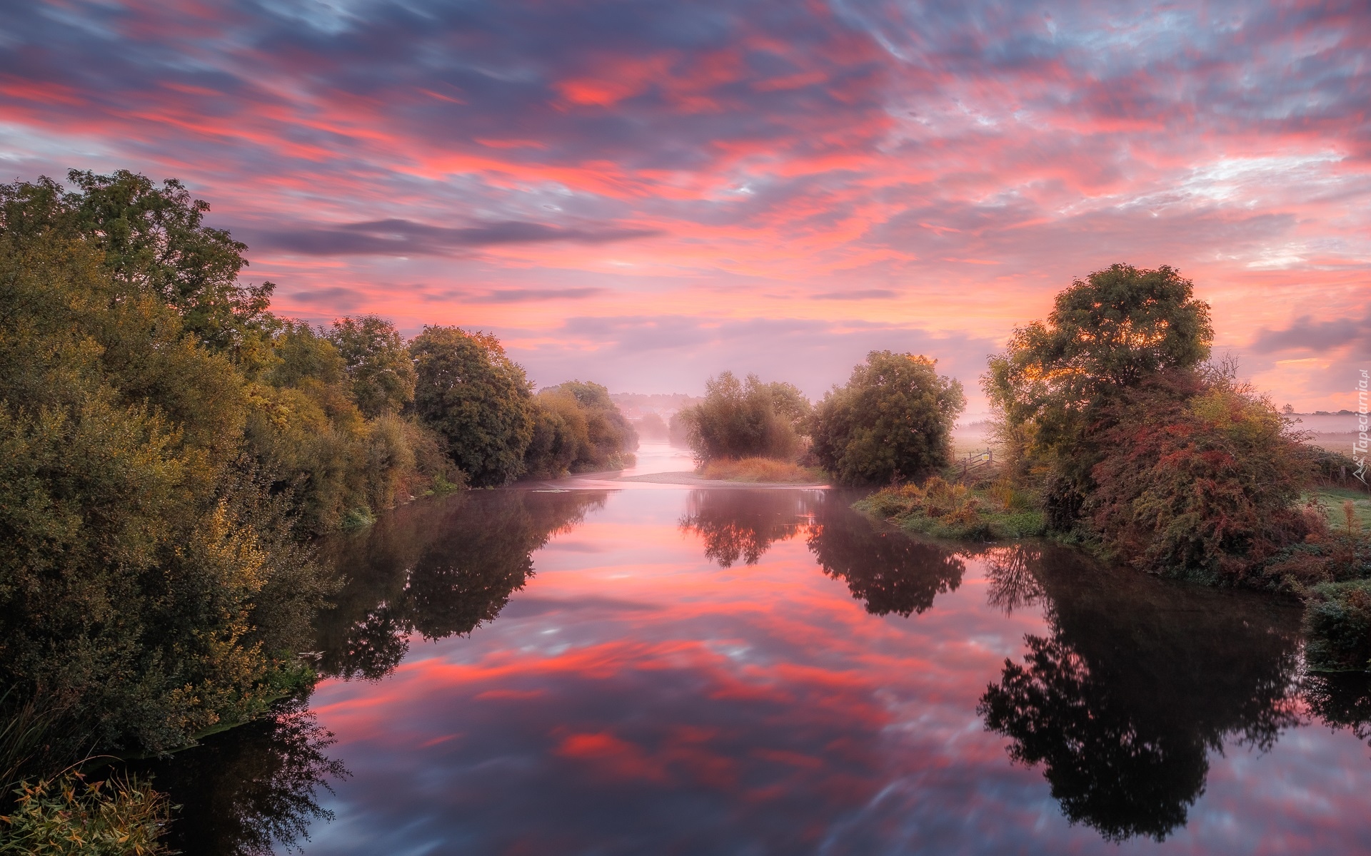 Rzeka, River Stour, Drzewa, Mgła, Chmury, Odbicie, Anglia