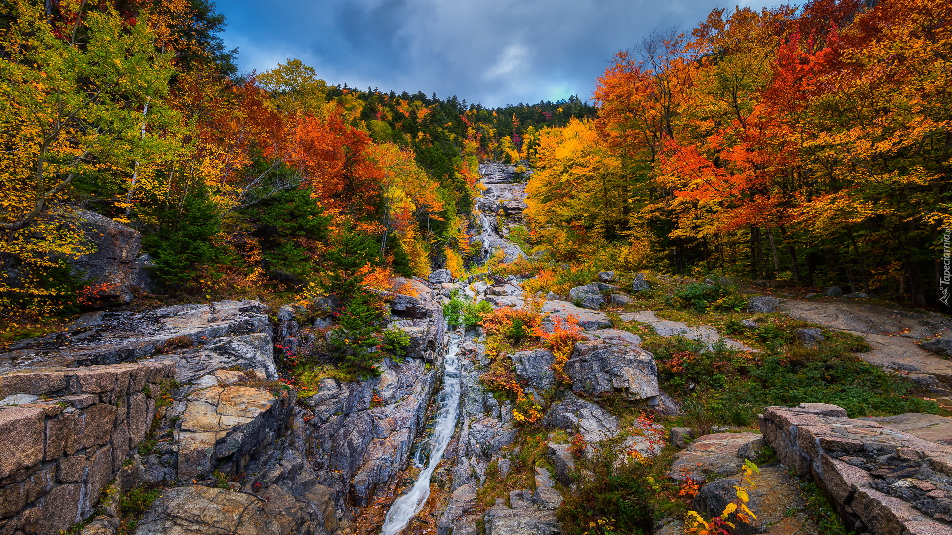 Jesień, Las, Drzewa, Skały, Kaskada, Rzeka, Saco River, Park miejski Crawford Notch, Stan New Hampshire, Stany Zjednoczone
