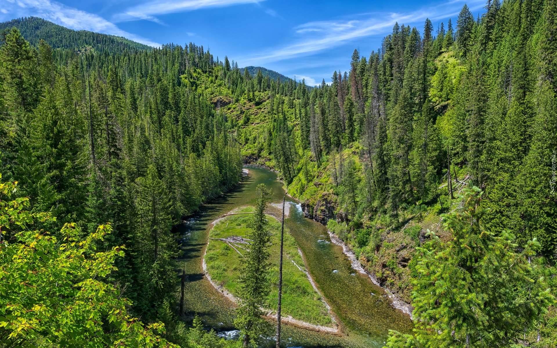 Góry, Drzewa, Zielony, Las, Rzeka, Saint Joe River, Idaho, Stany Zjednoczone