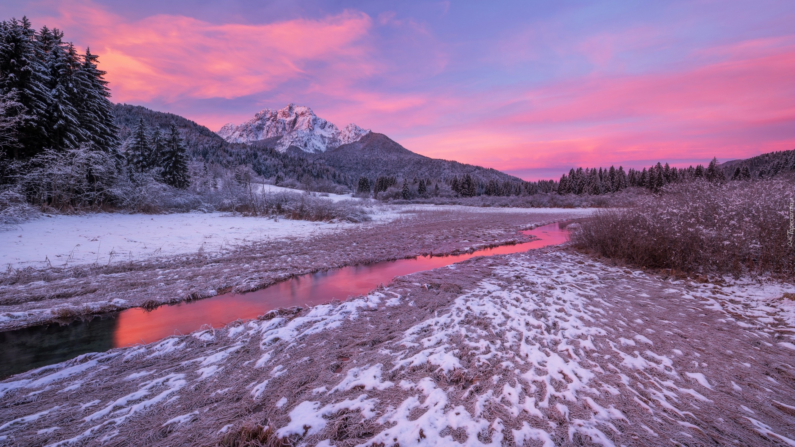 Słowenia, Kranjska Góra, Rezerwat przyrody Zelenci Springs, Wschód słońca, Zima, Rzeka, Drzewa