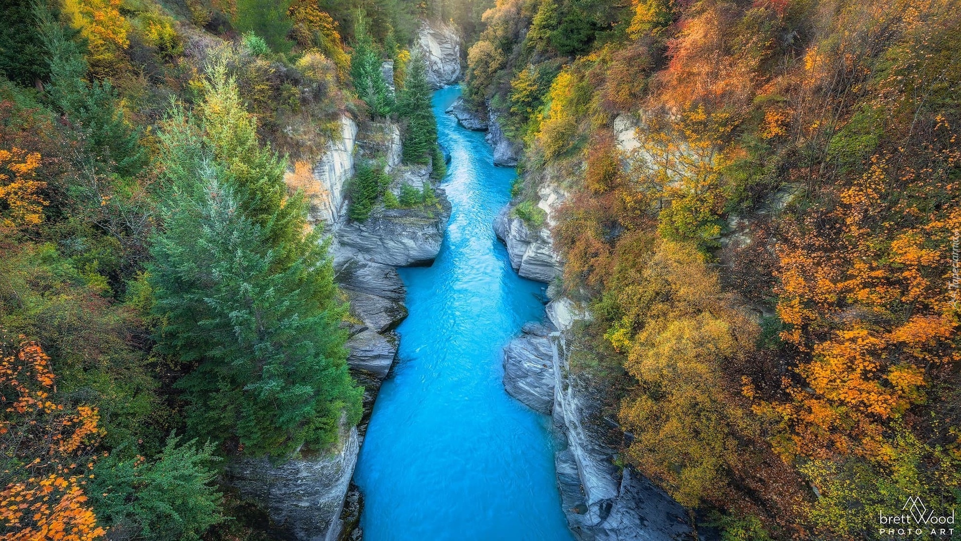 Nowa Zelandia, Queenstown, Rzeka, Shotover River, Skały, Wąwóz, Jesień, Drzewa