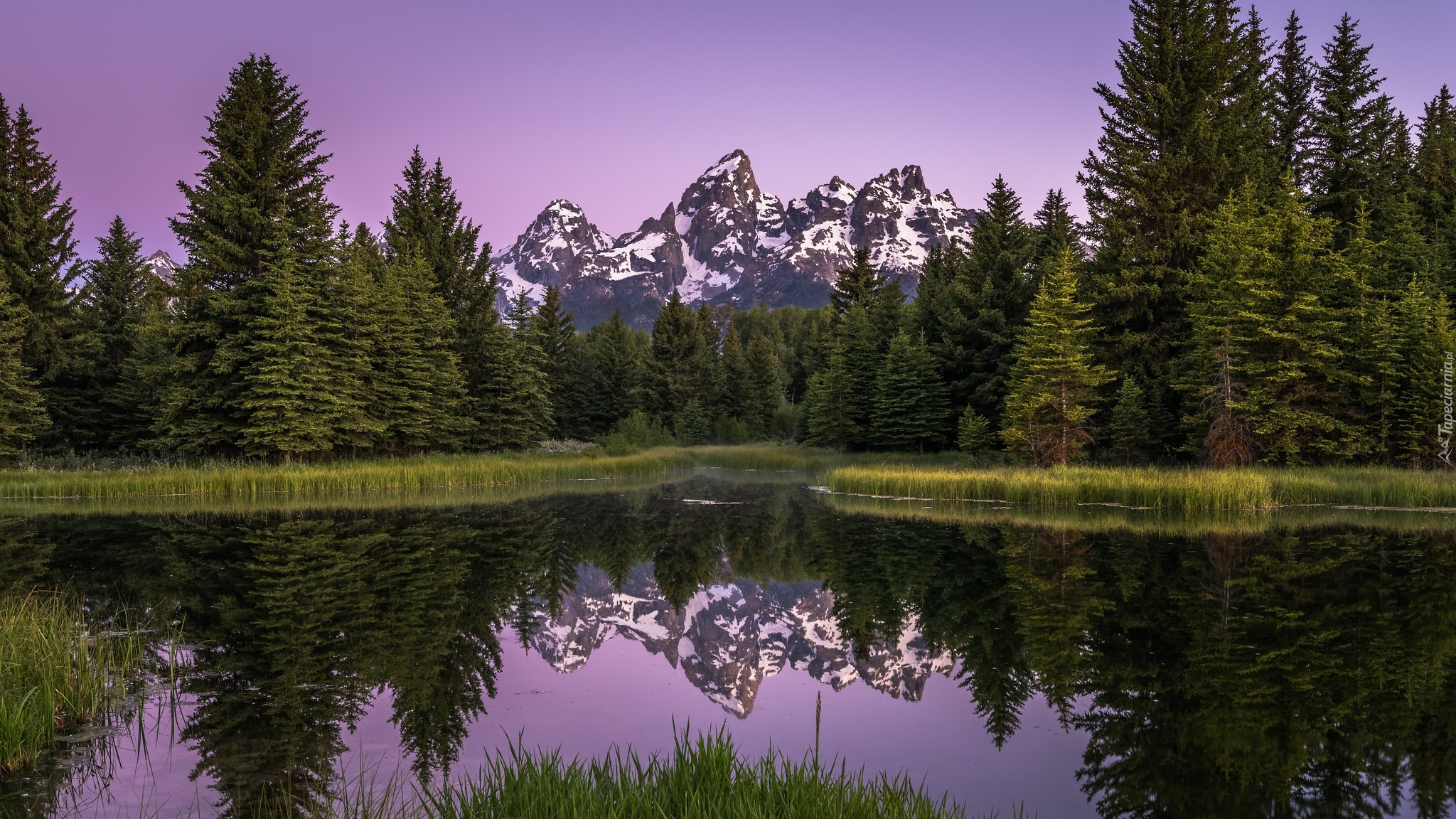 Park Narodowy Grand Teton, Rzeka Snake River, Góry, Teton Range, Las, Drzewa, Odbicie, Stan Wyoming, Stany Zjednoczone