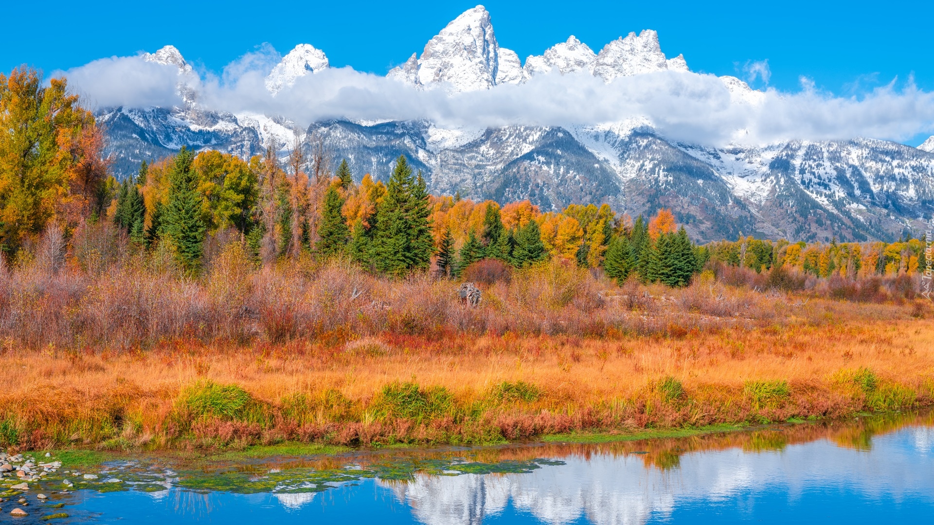 Jesień, Park Narodowy Grand Teton, Rzeka, Góry Teton Range, Drzewa, Stan Wyoming, Stany Zjednoczone