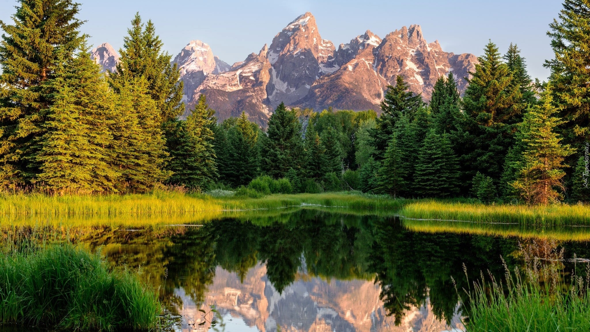 Stany Zjednoczone, Stan Wyoming, Park Narodowy Grand Teton, Rzeka Snake River, Las, Góry, Odbicie